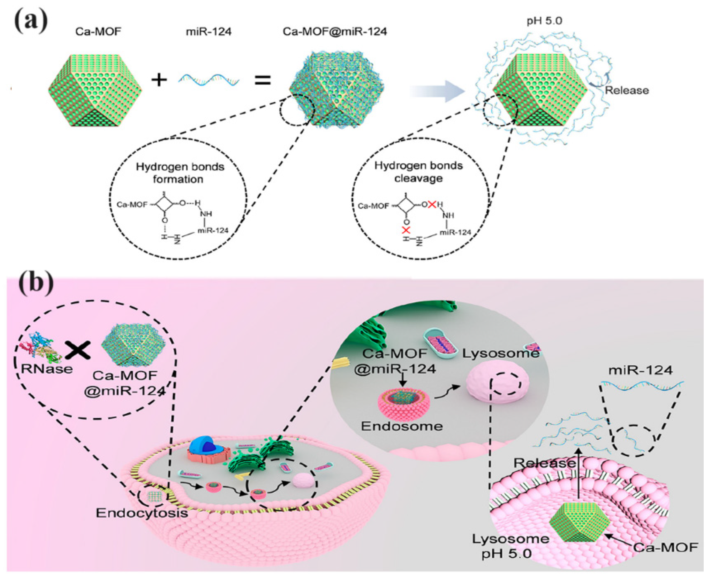 Nanomaterials 14 01379 g005