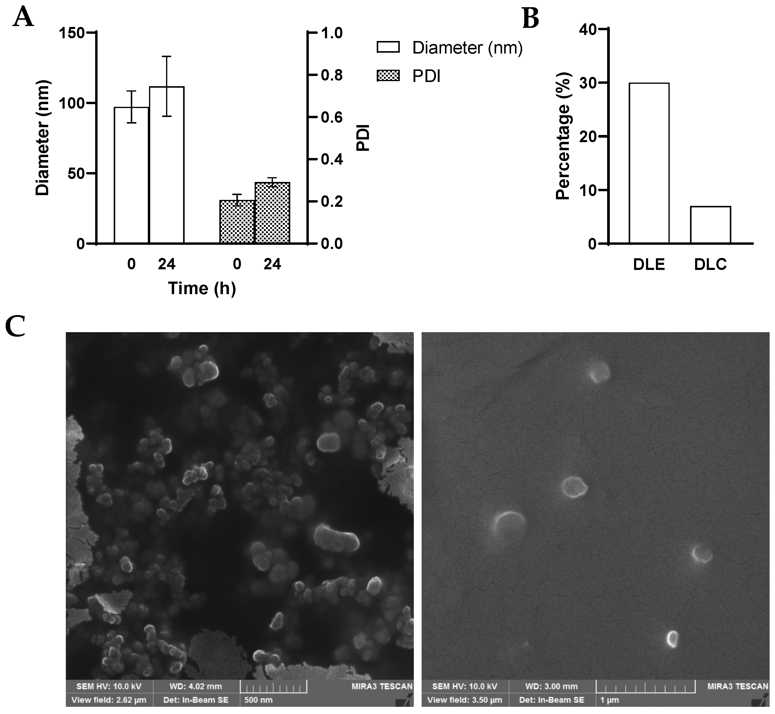 Nanomaterials 14 01380 g002