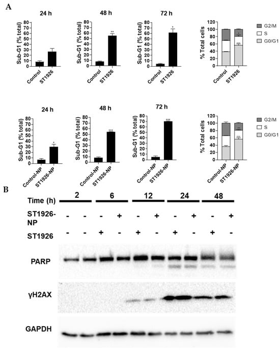 Nanomaterials 14 01380 g004