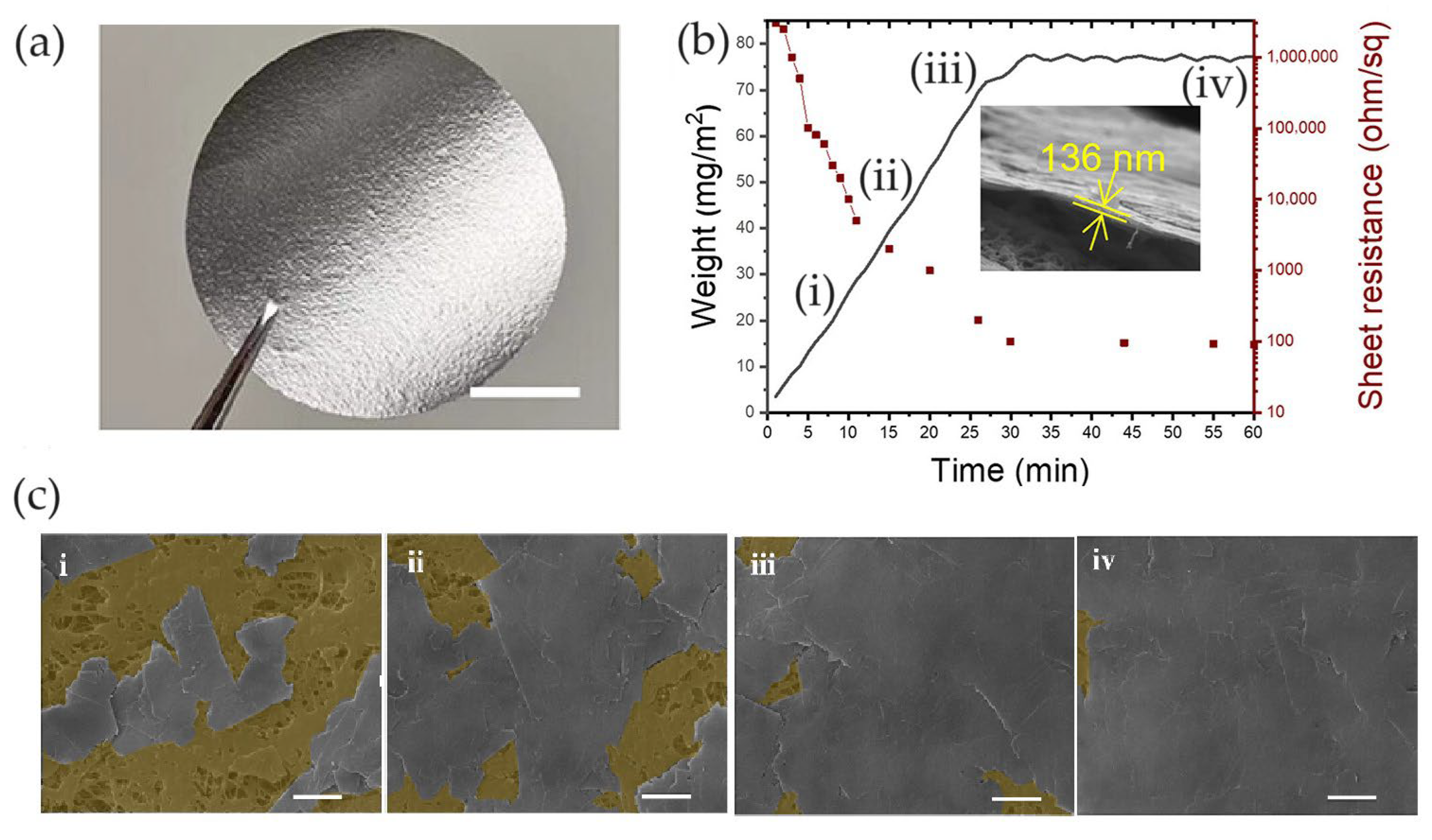 Nanomaterials 14 01394 g011