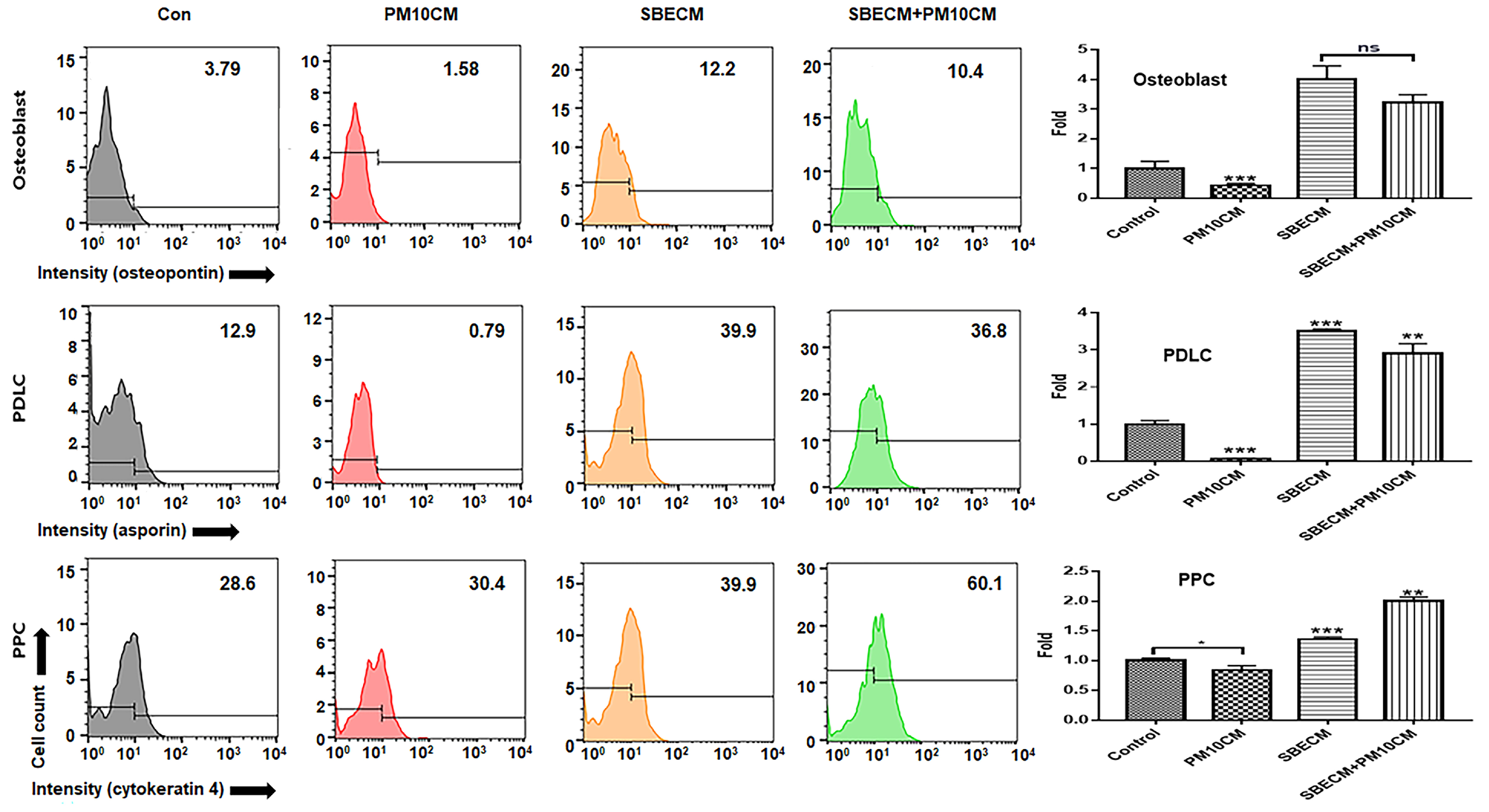 Nanomaterials 14 01396 g003