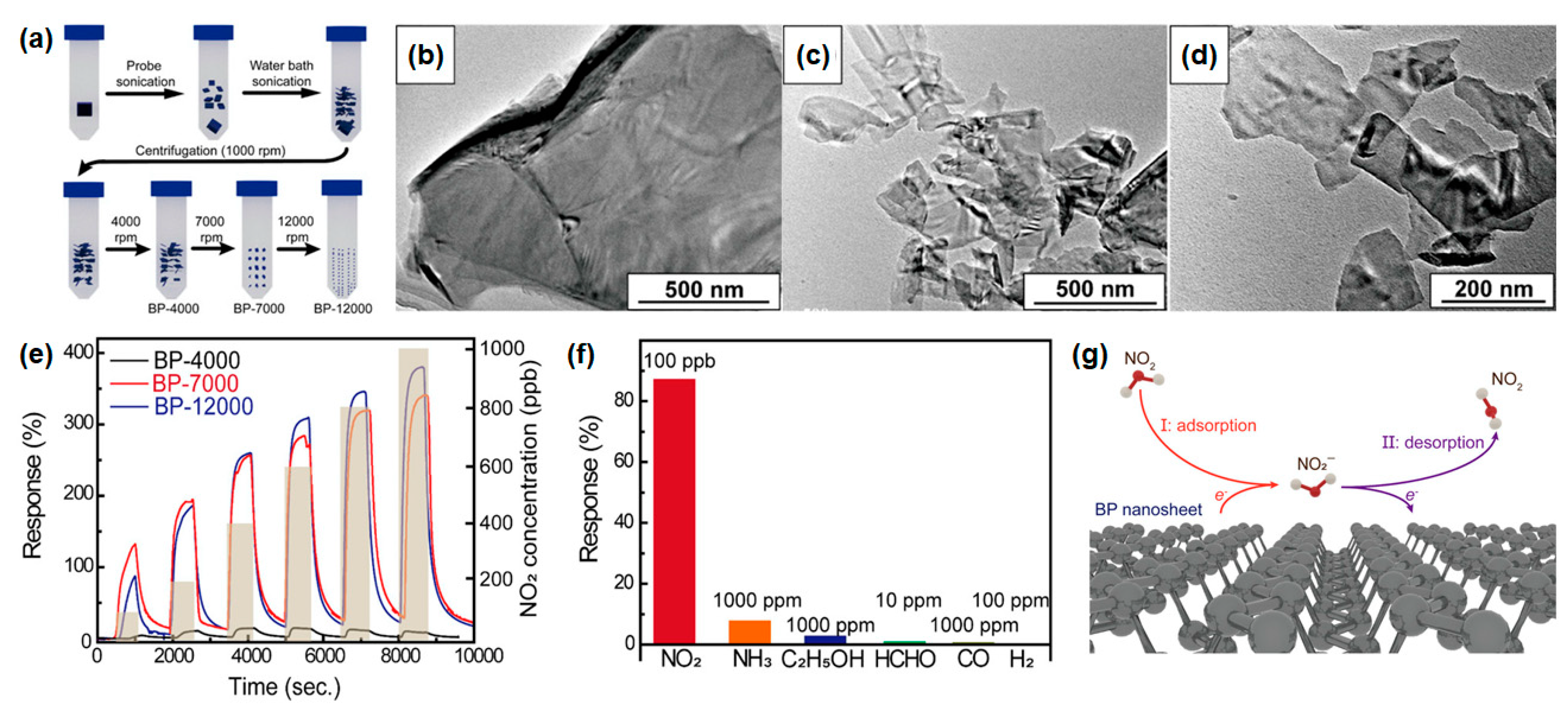 Nanomaterials 14 01397 g004 Nanomaterials 14 01397 g004
