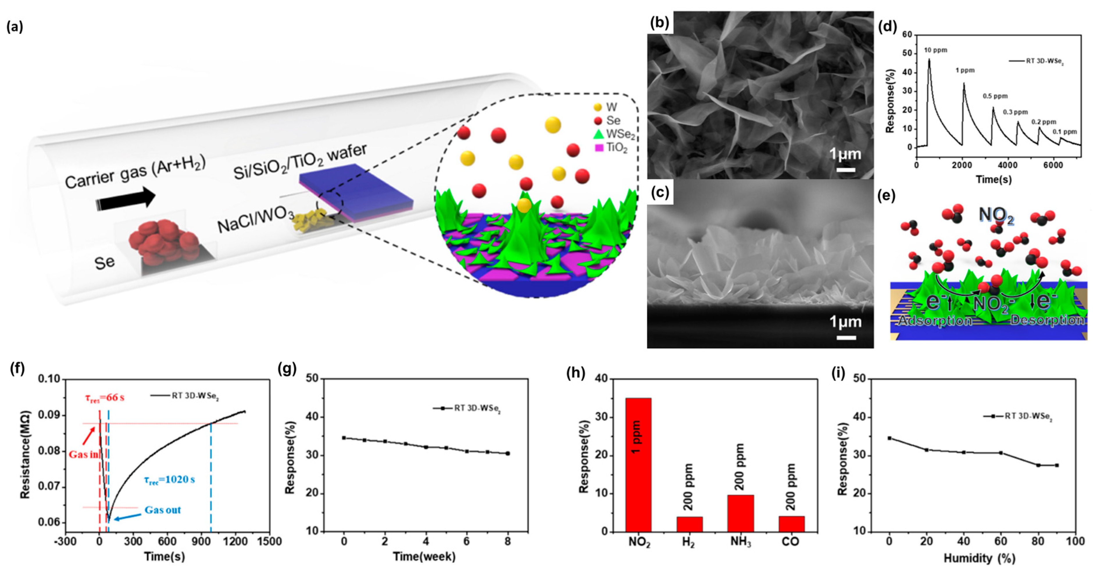 Nanomaterials 14 01397 g005 Nanomaterials 14 01397 g005