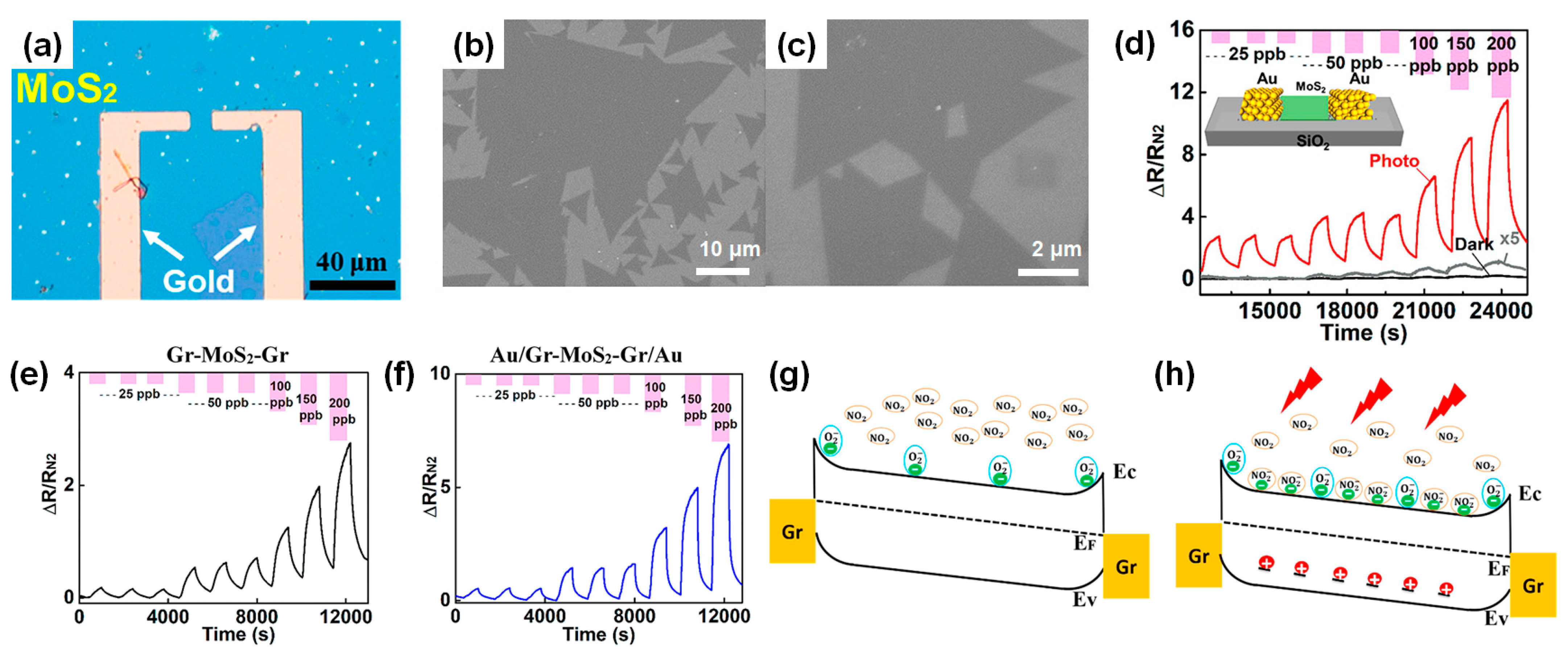 Nanomaterials 14 01397 g007 Nanomaterials 14 01397 g007