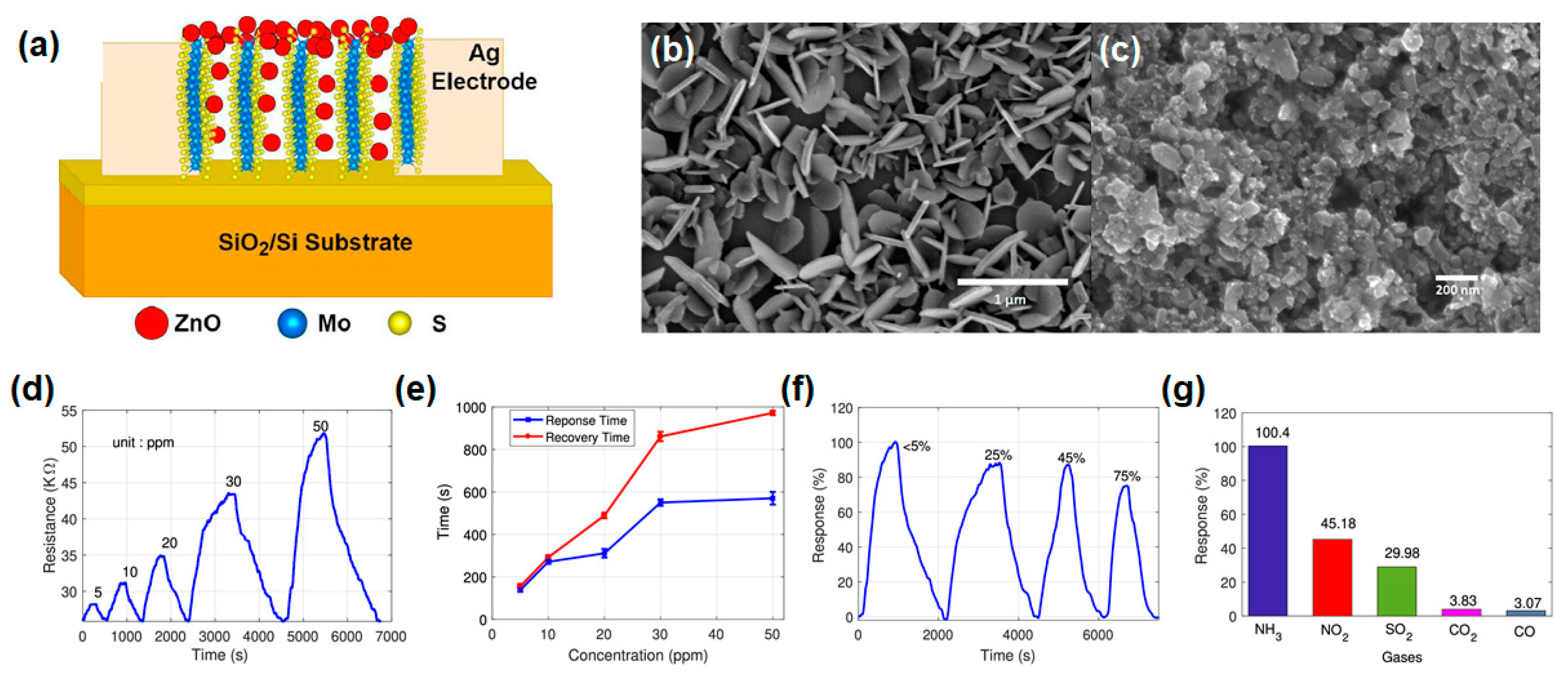 Nanomaterials 14 01397 g009 Nanomaterials 14 01397 g009