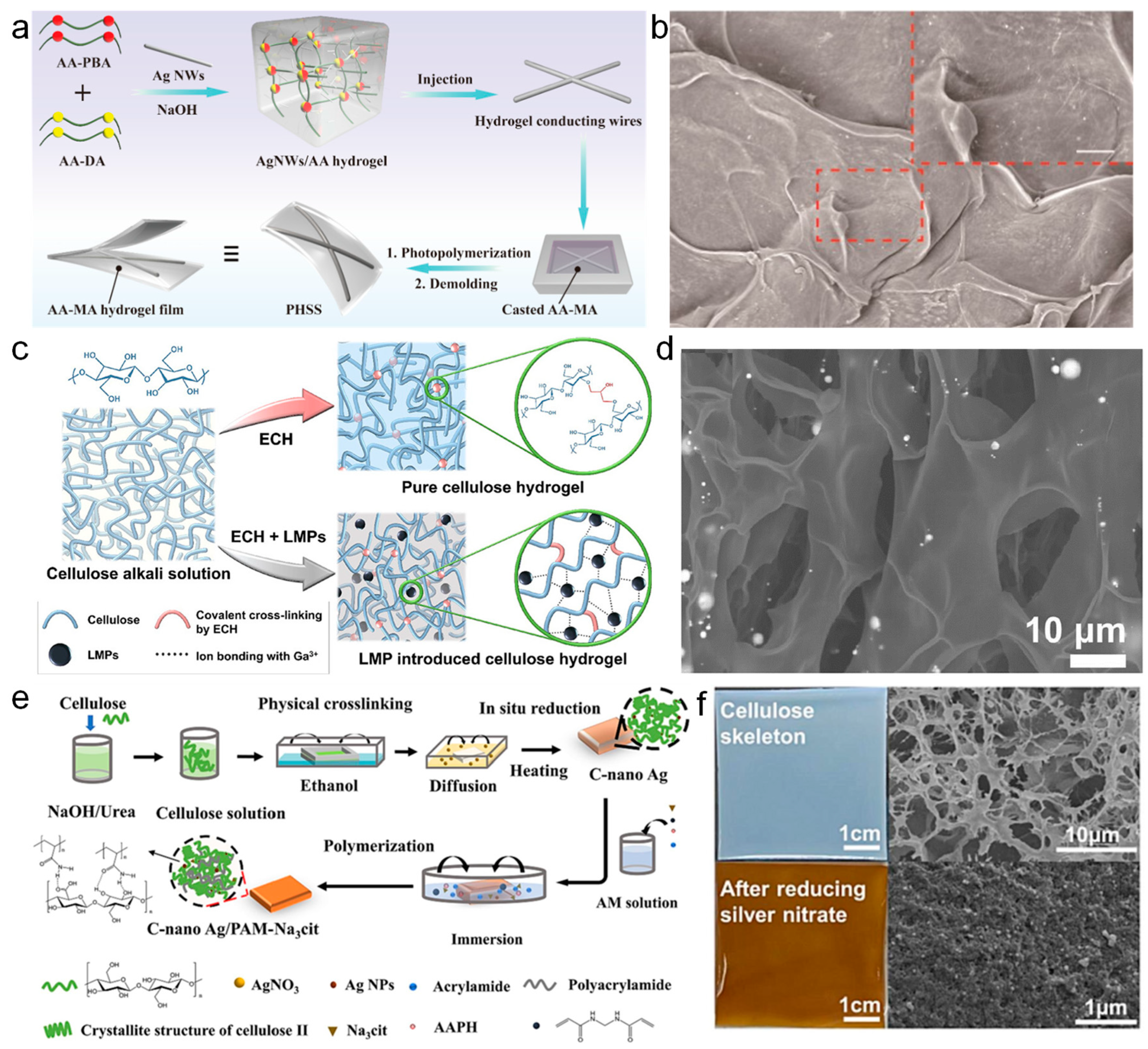 Nanomaterials 14 01398 g003 Nanomaterials 14 01398 g003