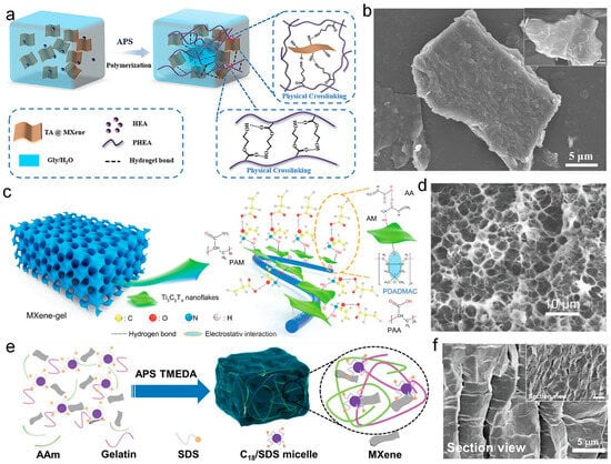 Nanomaterials 14 01398 g004