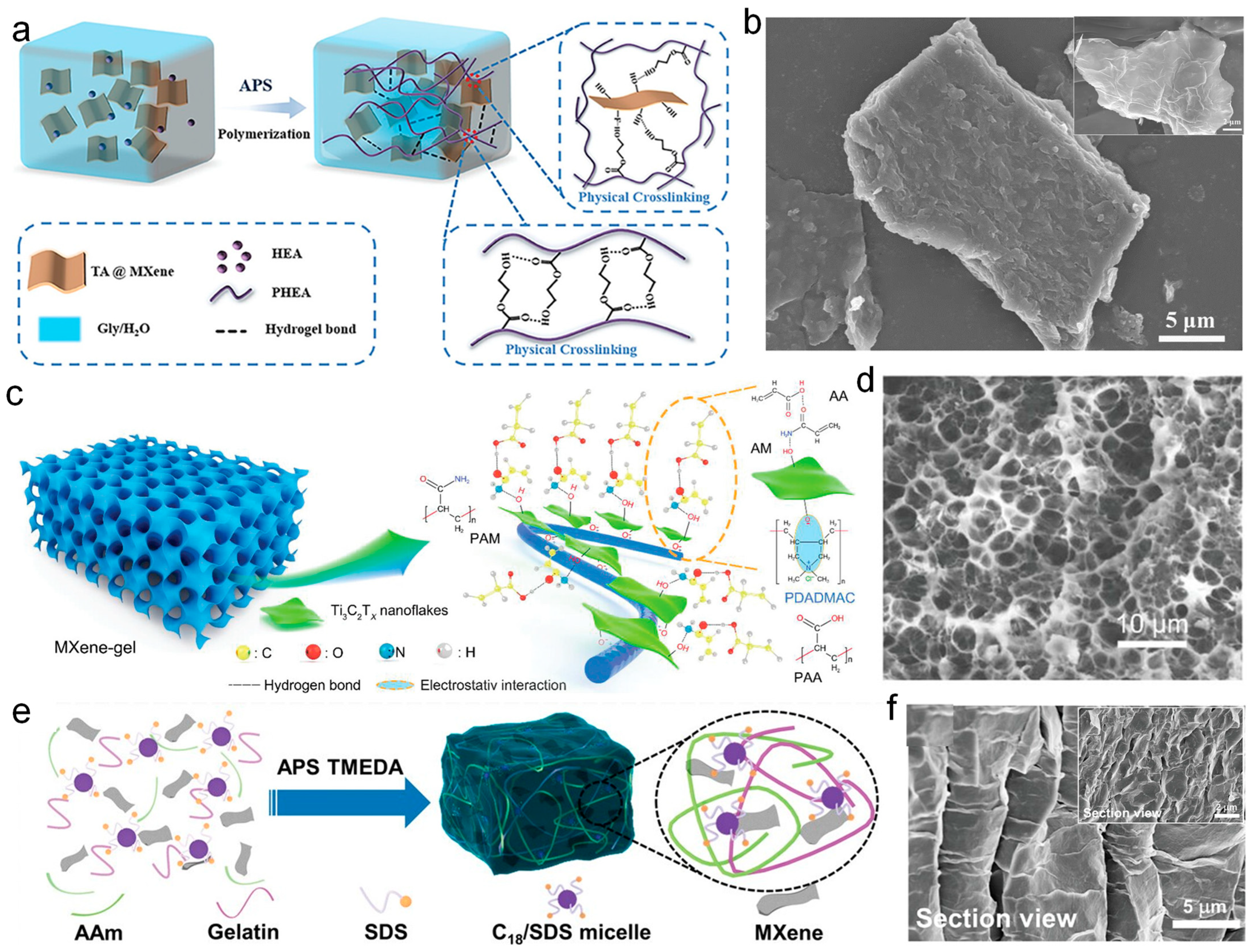 Nanomaterials 14 01398 g004 Nanomaterials 14 01398 g004