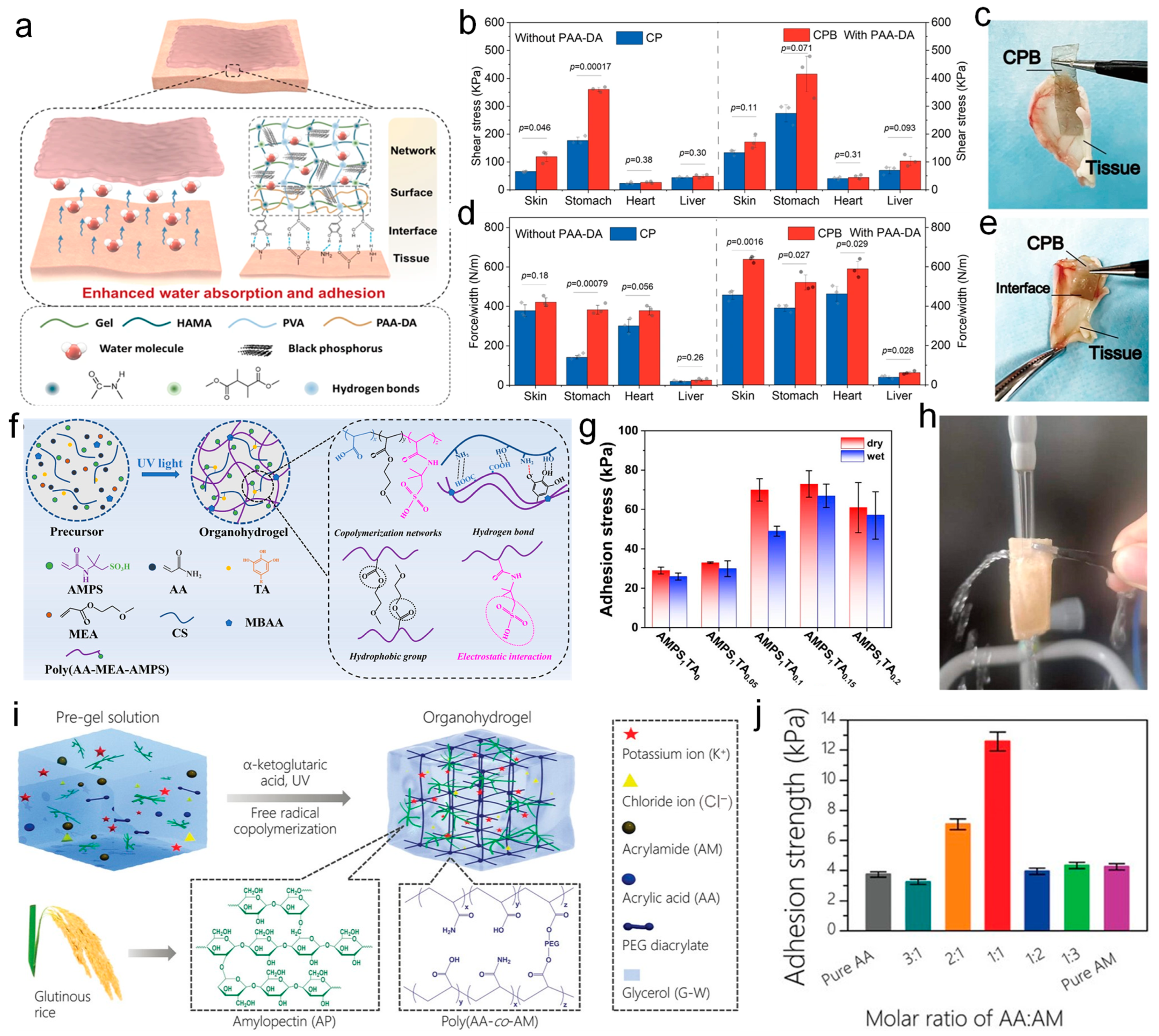 Nanomaterials 14 01398 g006 Nanomaterials 14 01398 g006