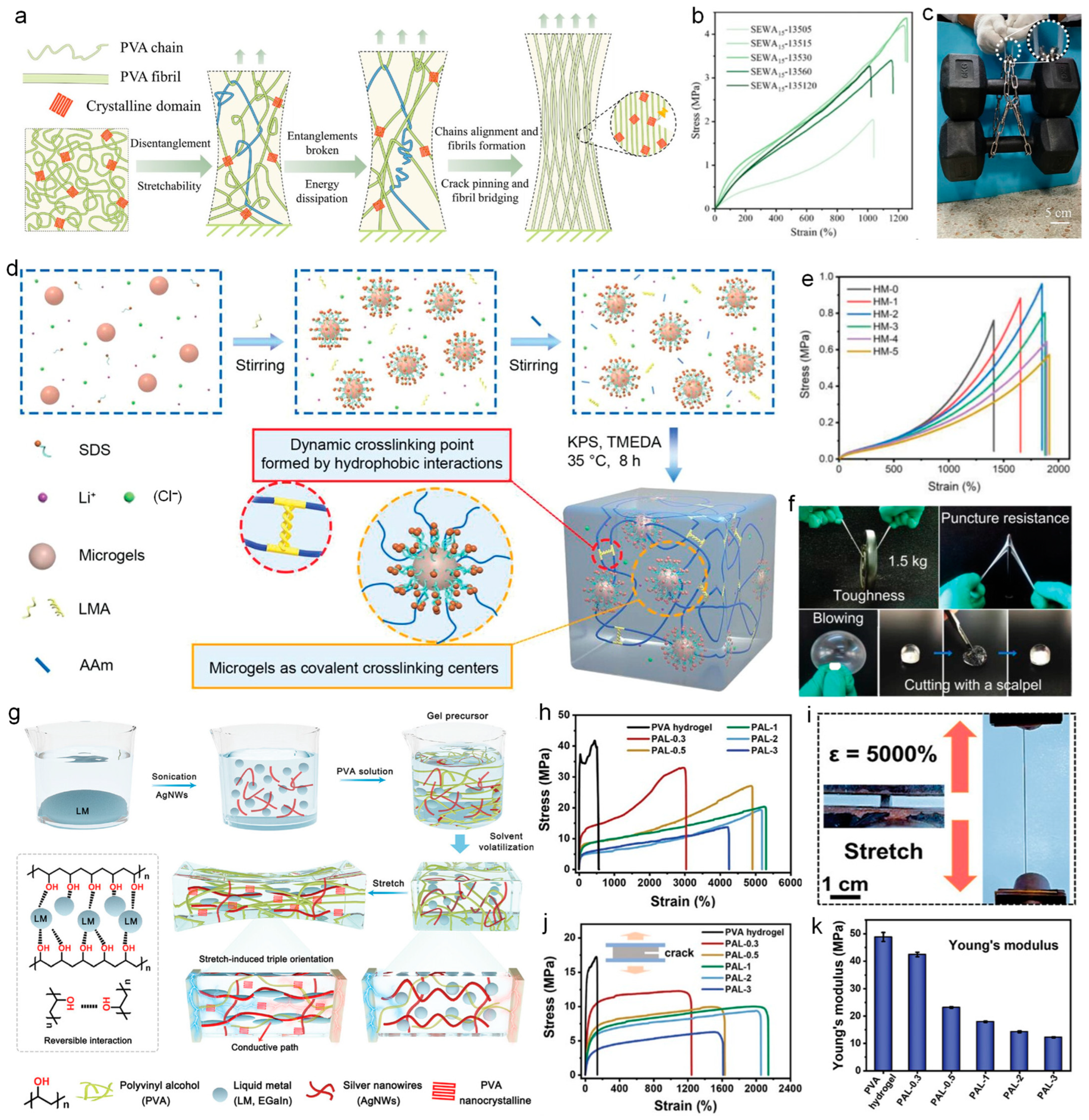 Nanomaterials 14 01398 g007 Nanomaterials 14 01398 g007
