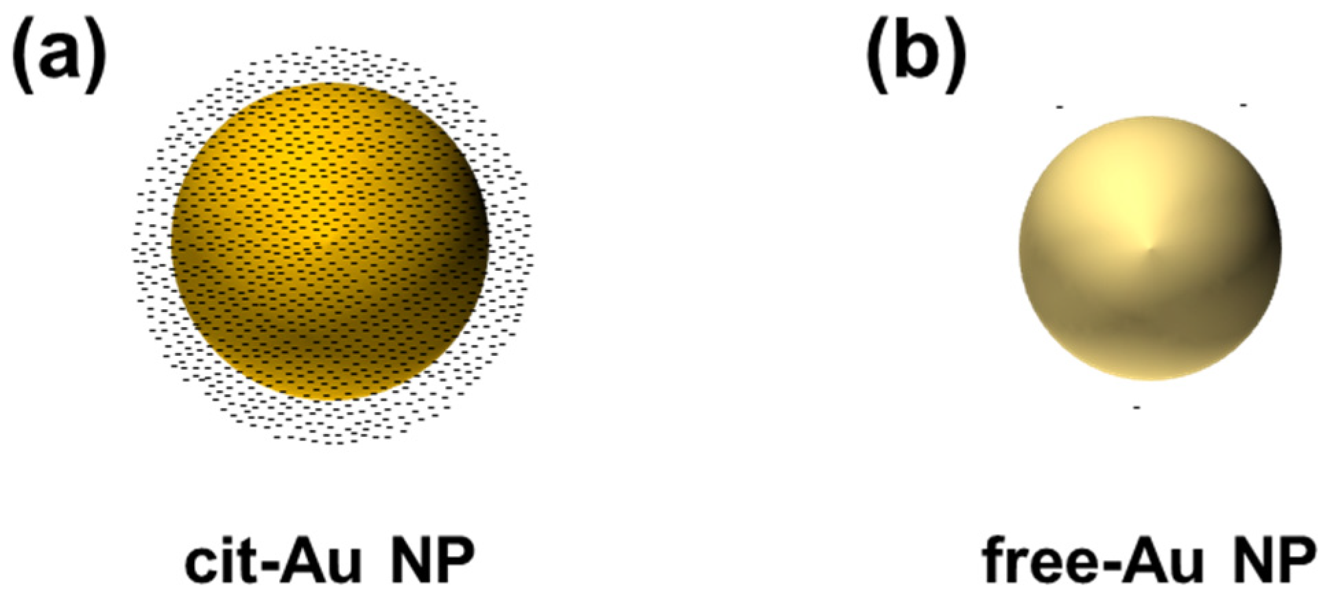 Nanomaterials 14 01399 g001 Nanomaterials 14 01399 g001