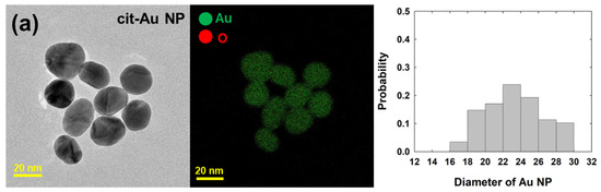 Nanomaterials 14 01399 g002a Nanomaterials 14 01399 g002a