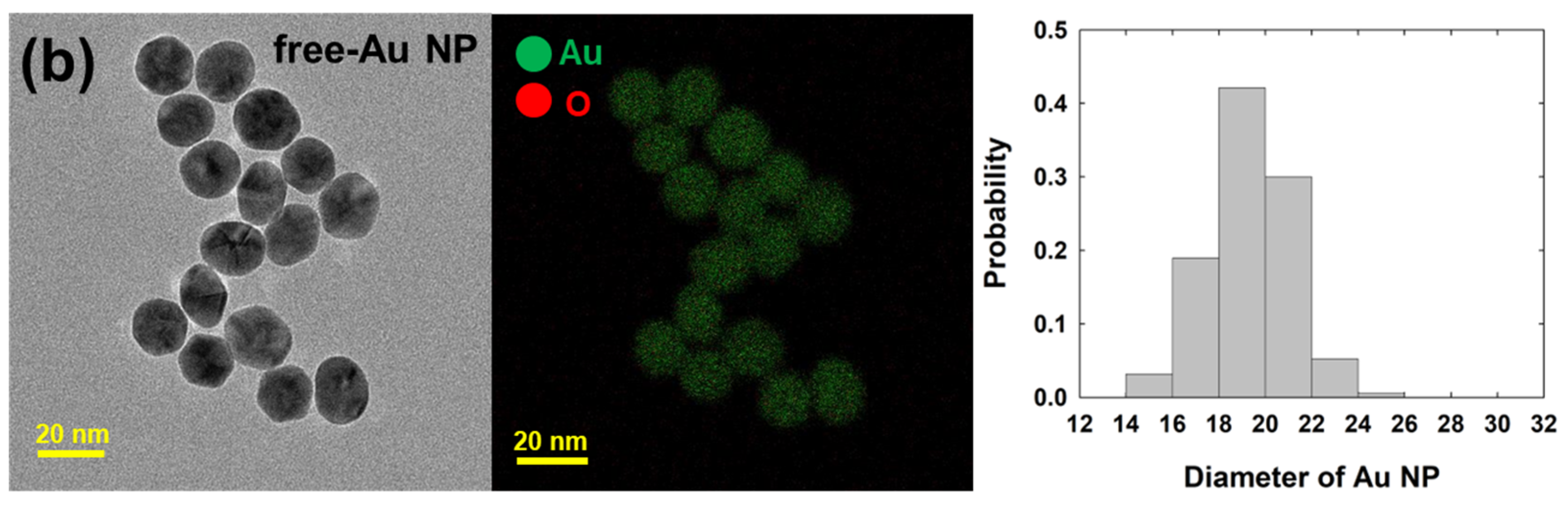 Nanomaterials 14 01399 g002b Nanomaterials 14 01399 g002b