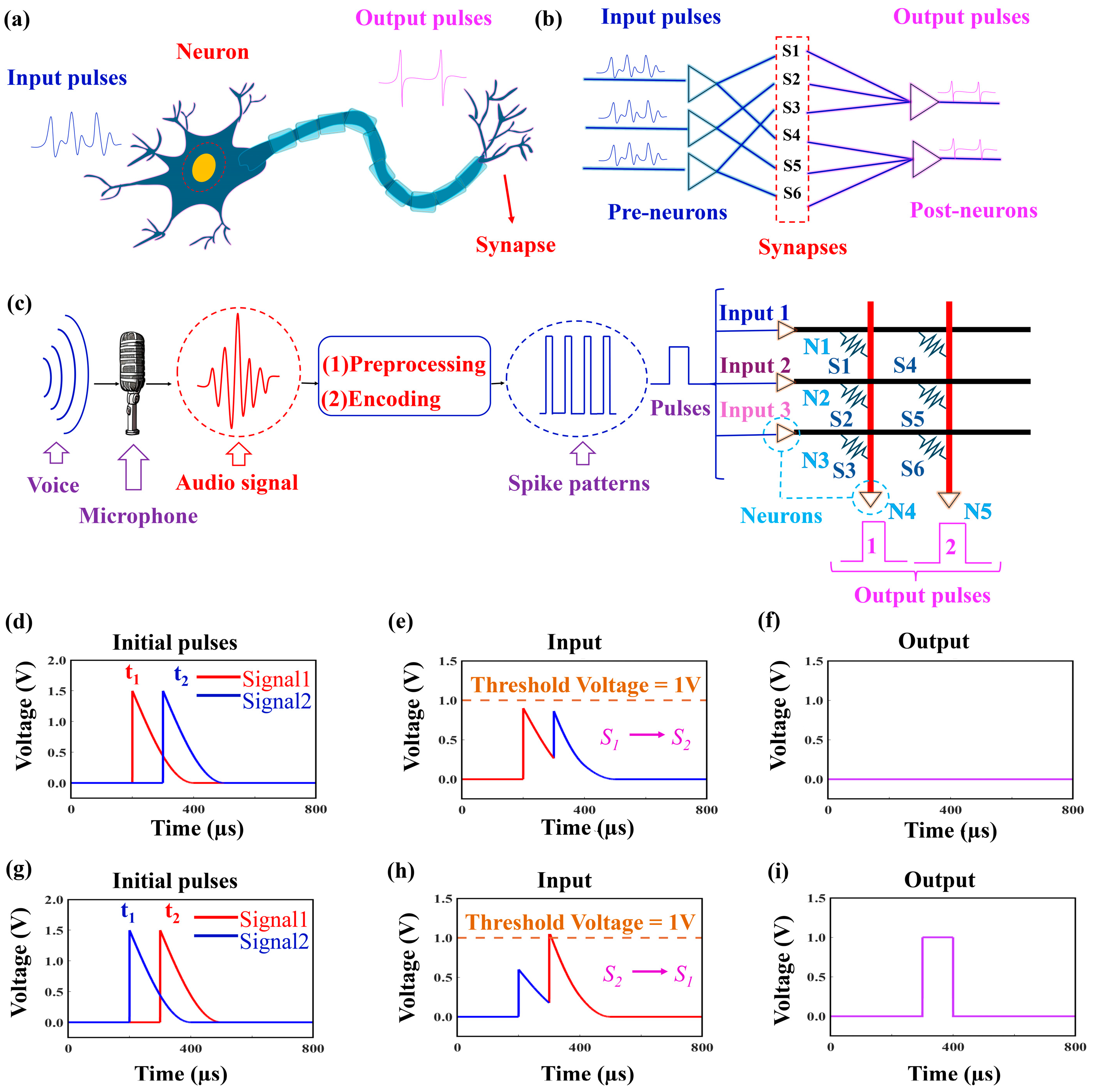 Nanomaterials 14 01412 g005