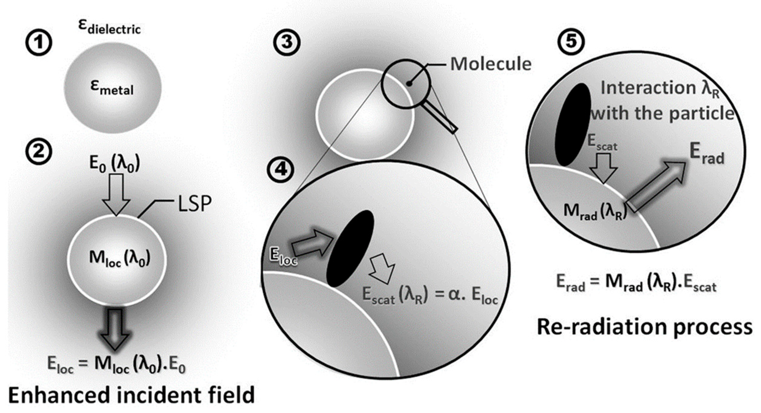 Nanomaterials 14 01417 g002 Nanomaterials 14 01417 g002