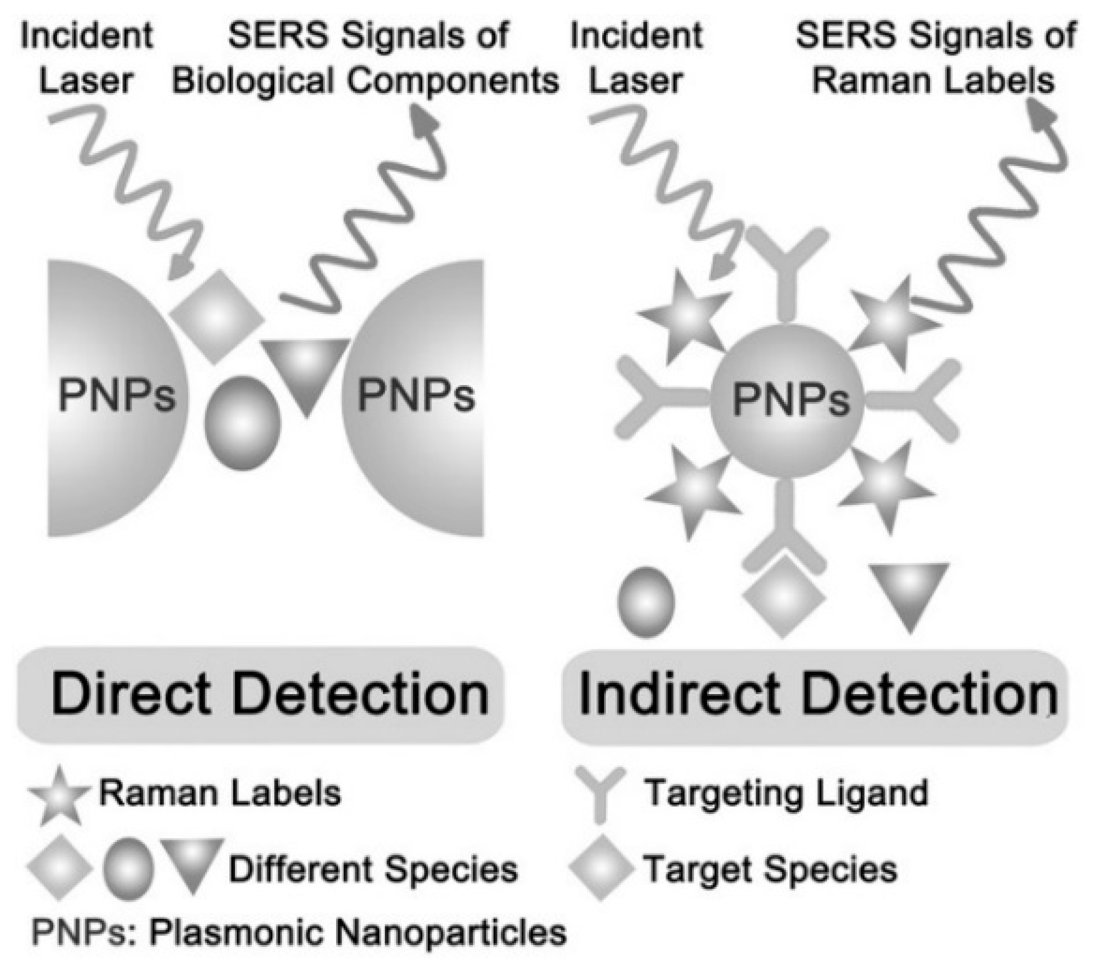 Nanomaterials 14 01417 g004 Nanomaterials 14 01417 g004