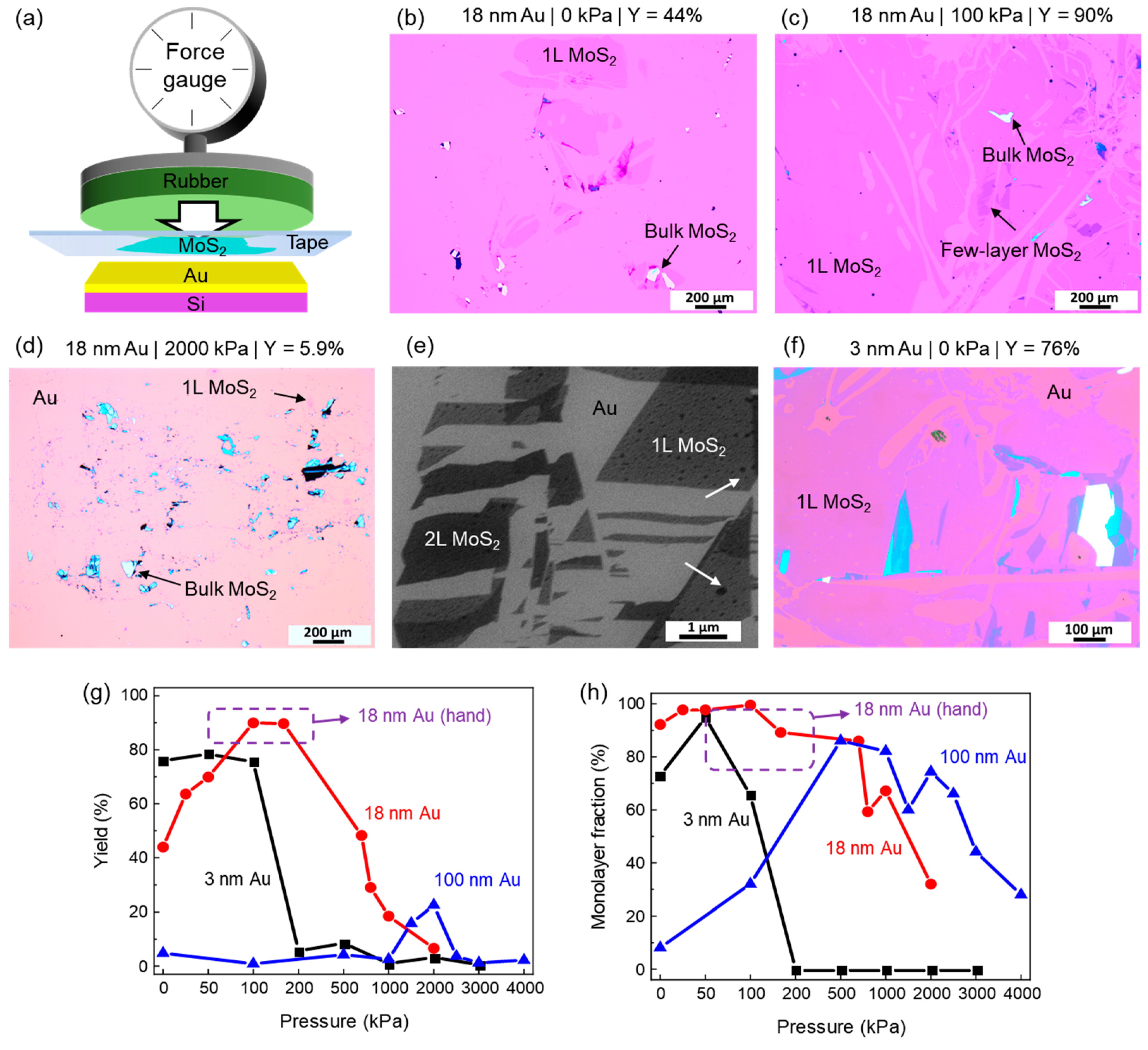 Nanomaterials 14 01418 g002