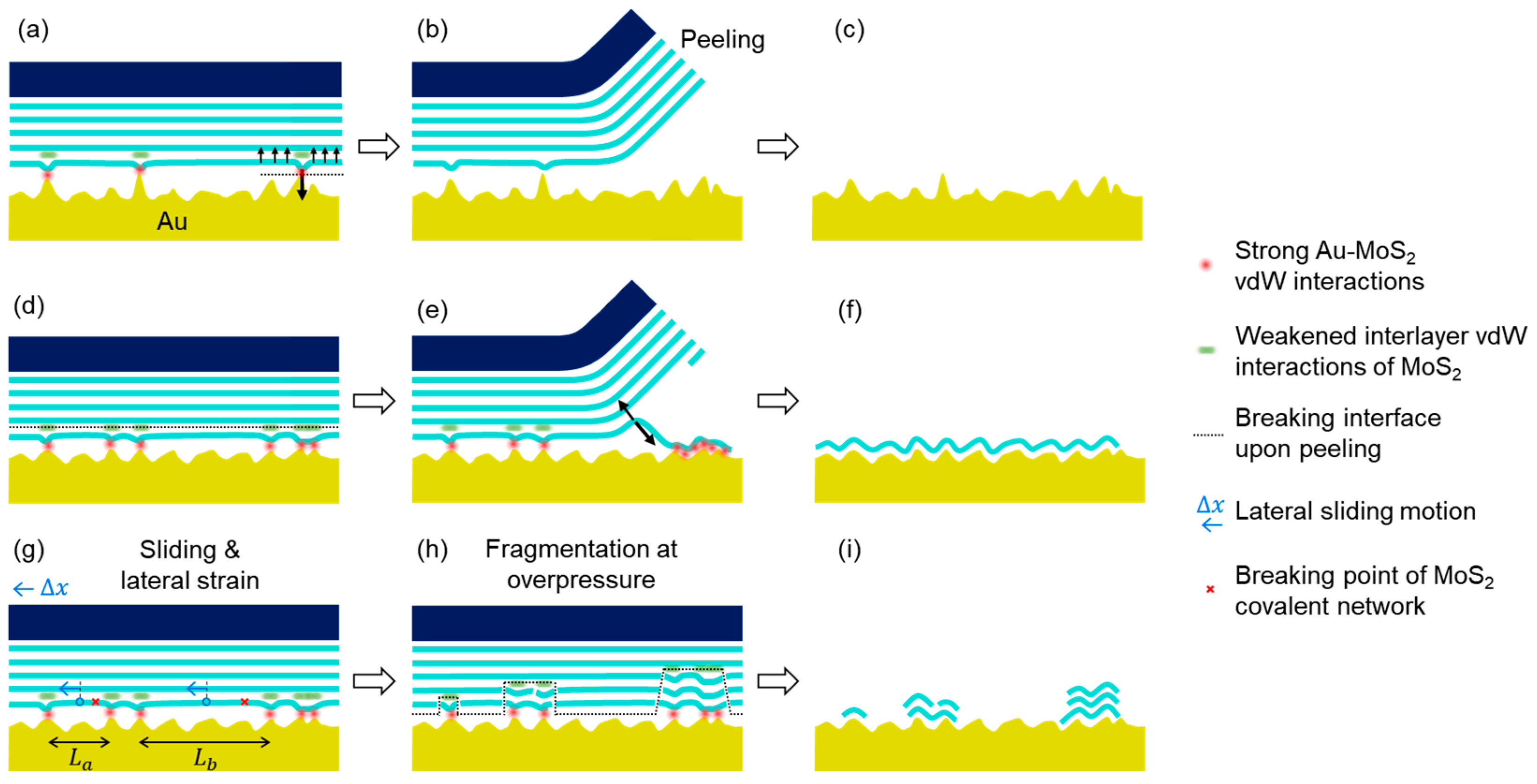Nanomaterials 14 01418 g004