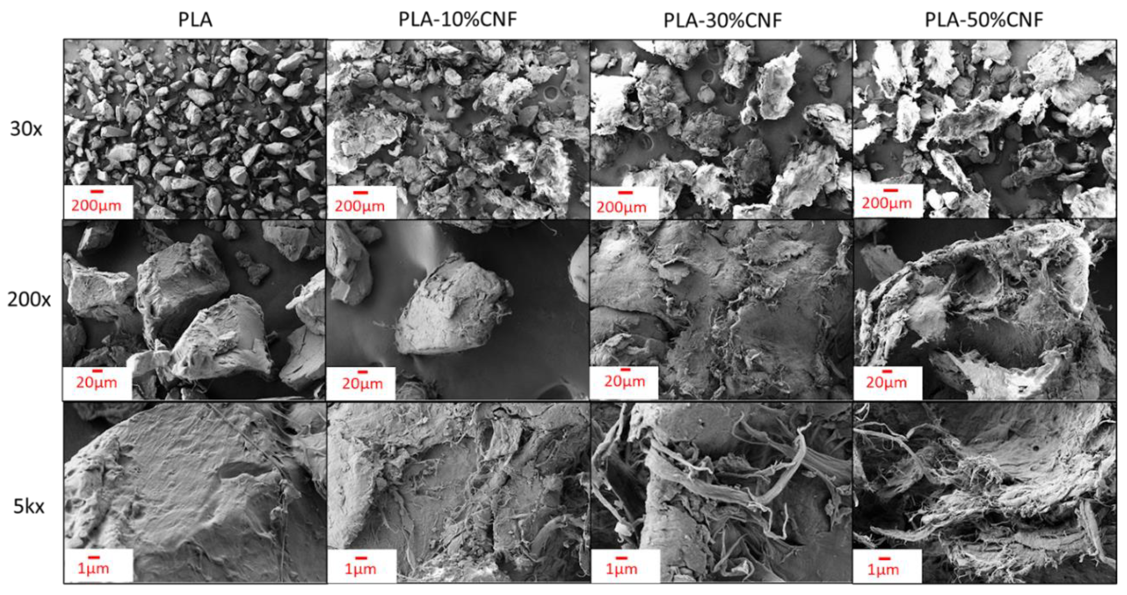 Nanomaterials 14 01419 g003
