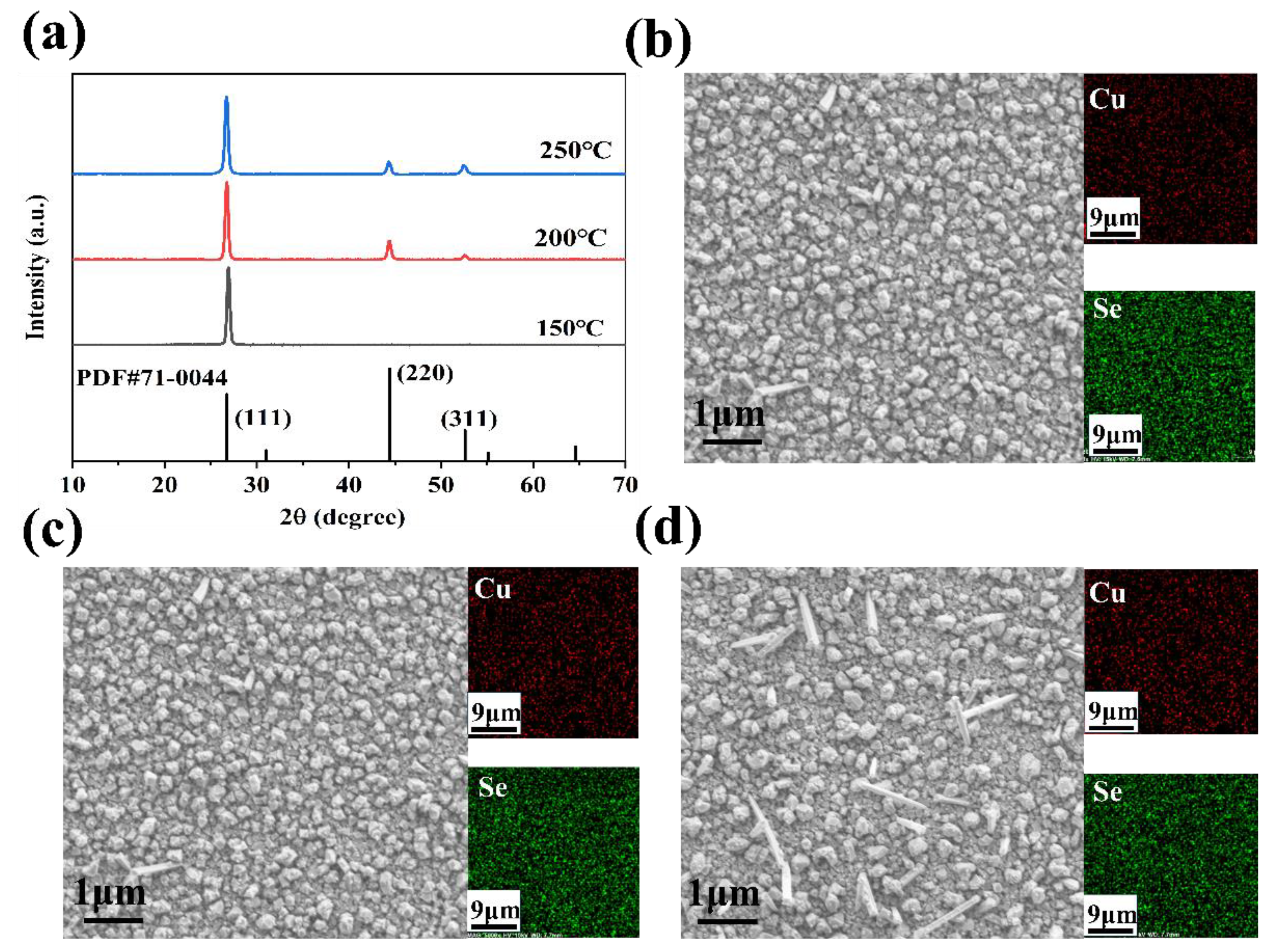 Nanomaterials 14 01421 g001
