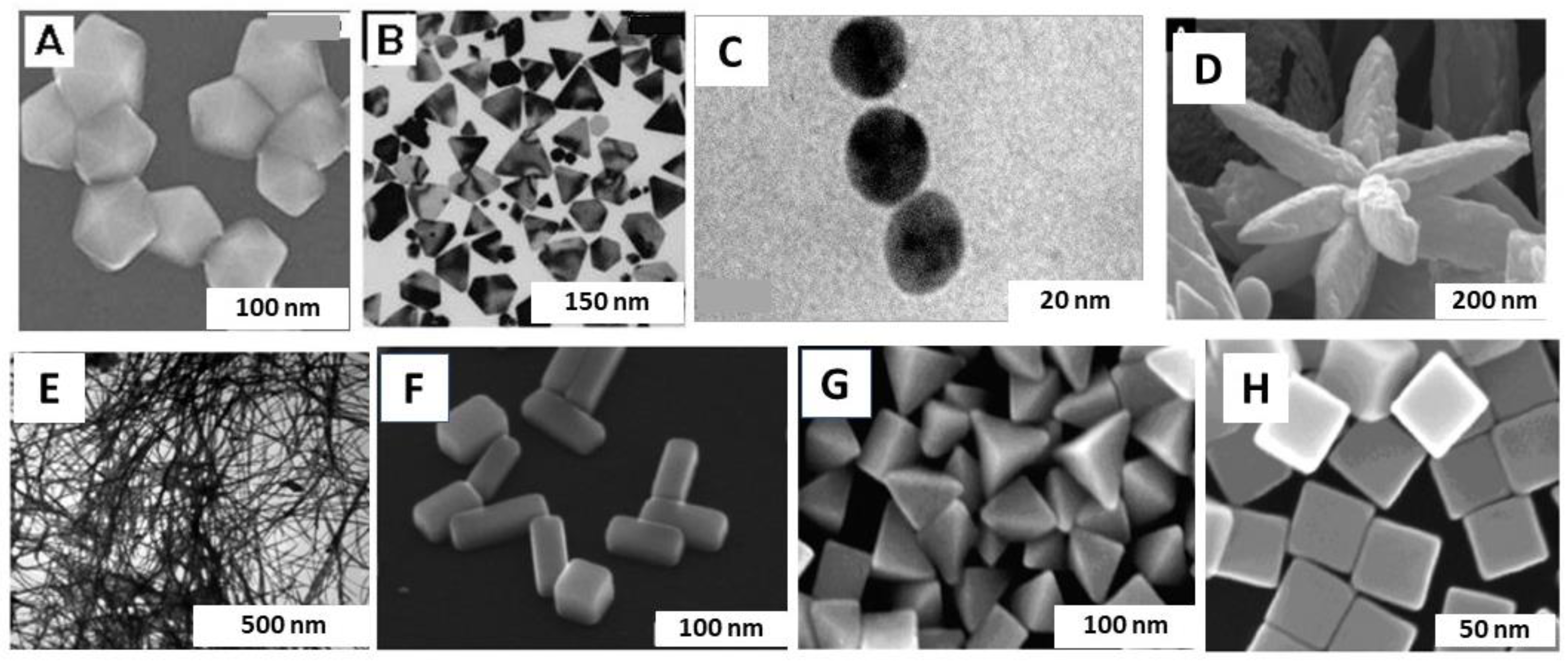Nanomaterials 14 01425 g006