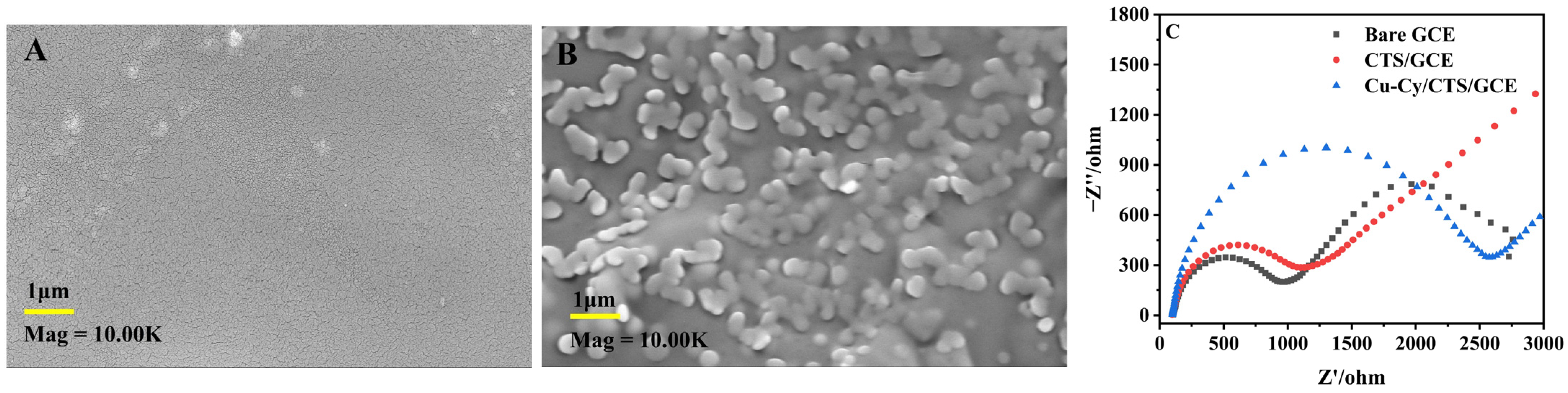 Nanomaterials 14 01430 g001
