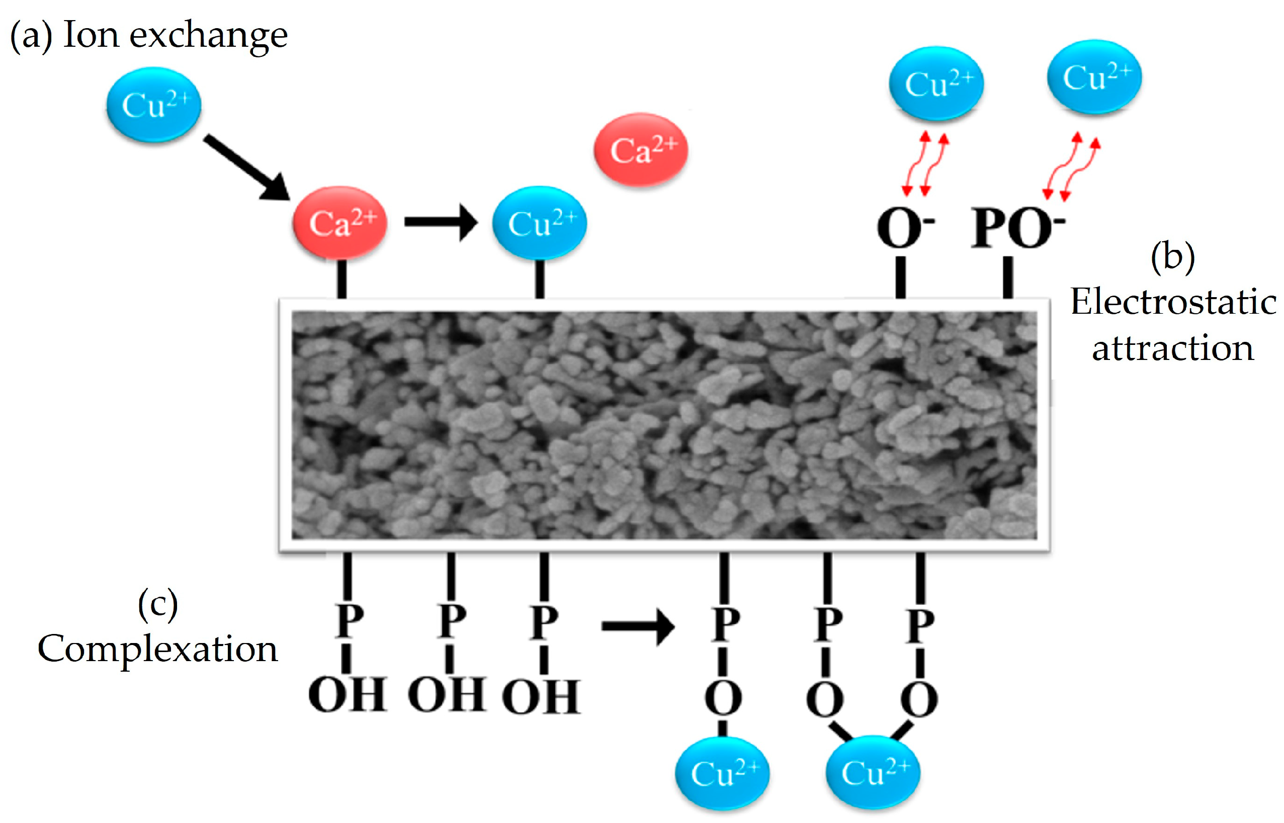 Nanomaterials 14 01431 g006