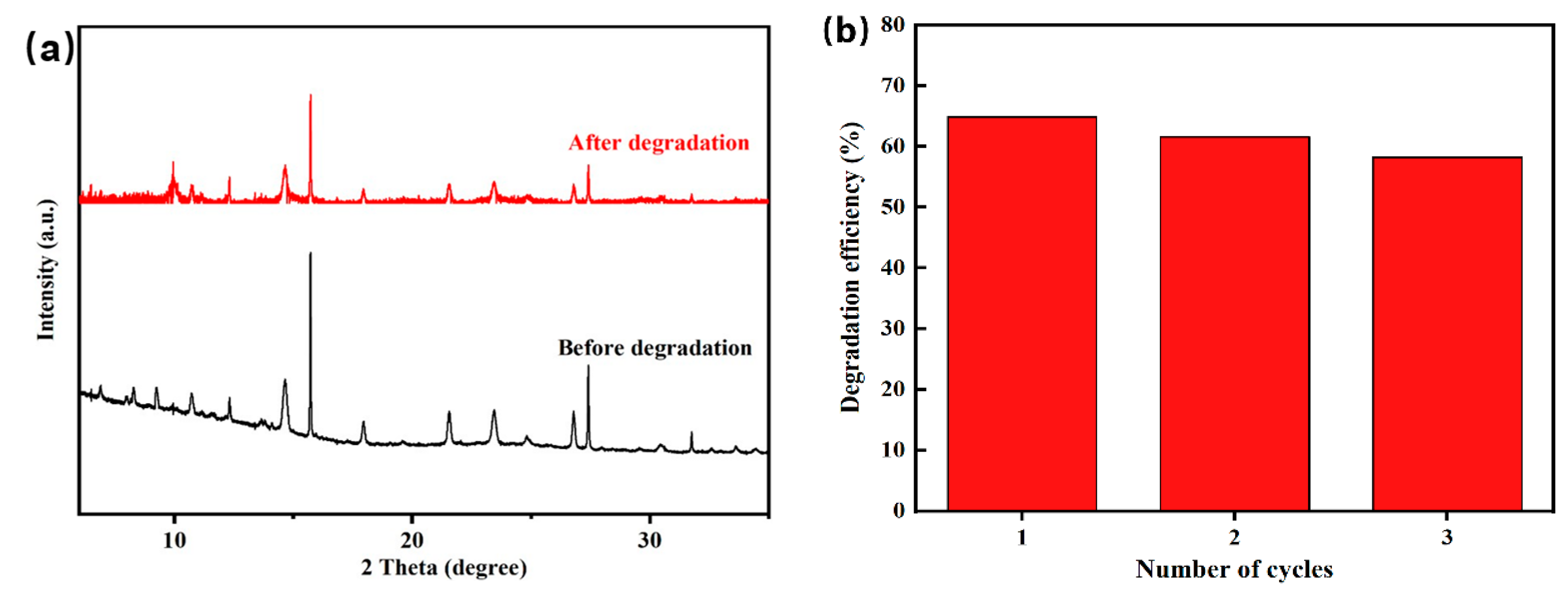 Nanomaterials 14 01441 g010