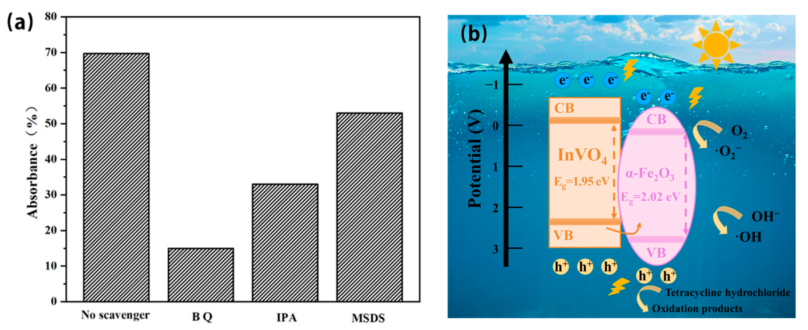 Nanomaterials 14 01441 g011