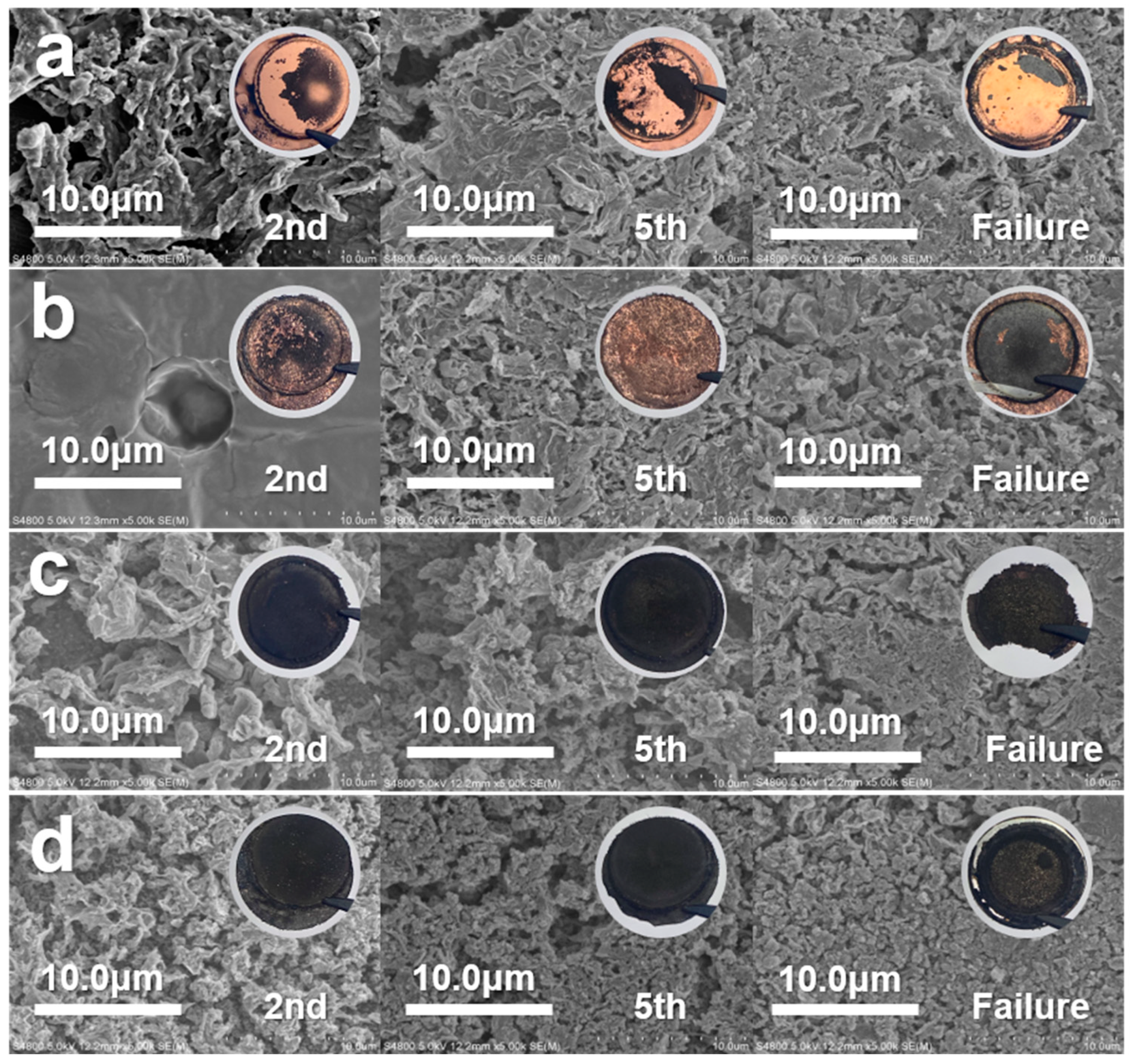 Nanomaterials 14 01461 g004