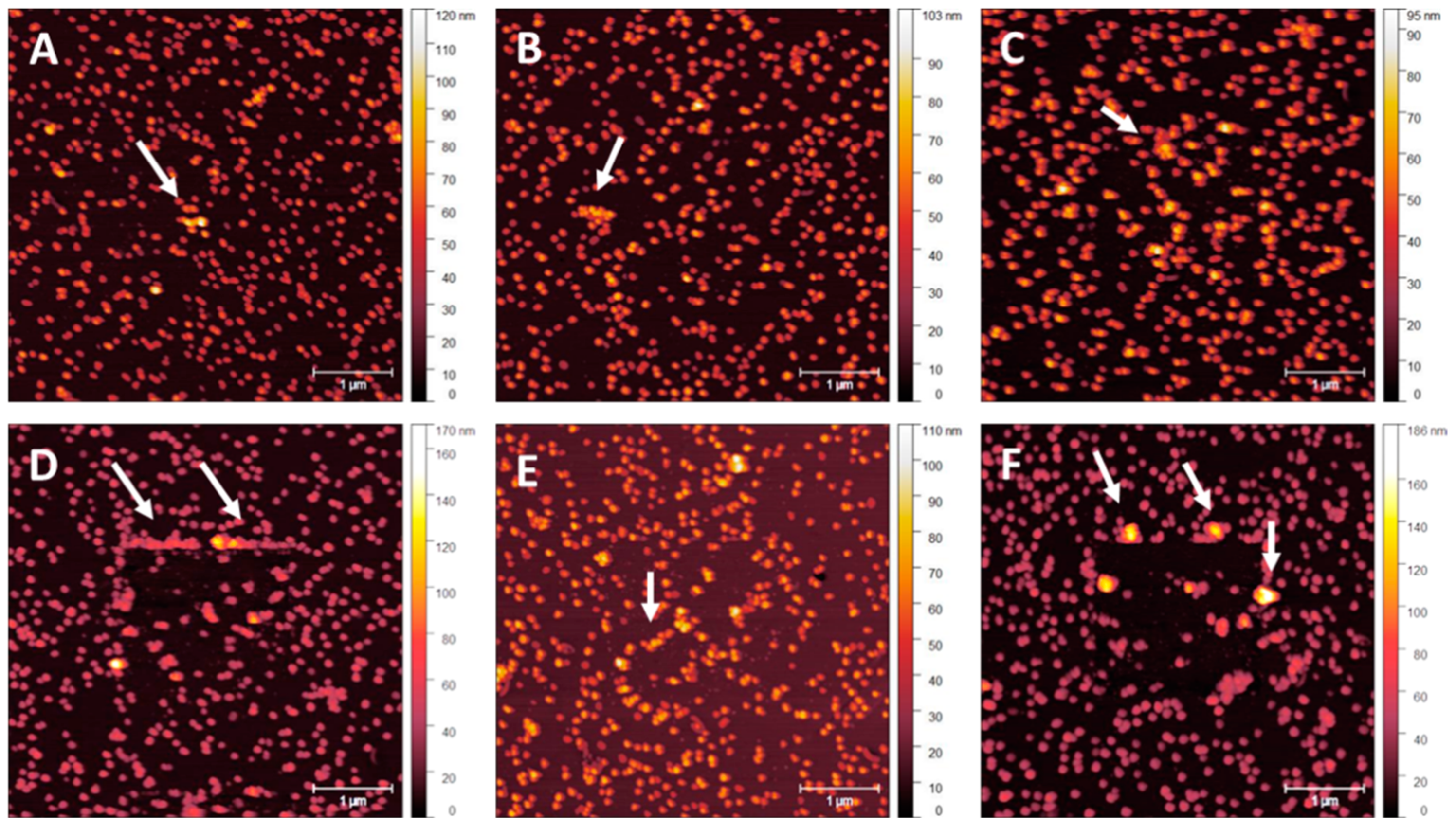 Nanomaterials 14 01475 g008 Nanomaterials 14 01475 g008