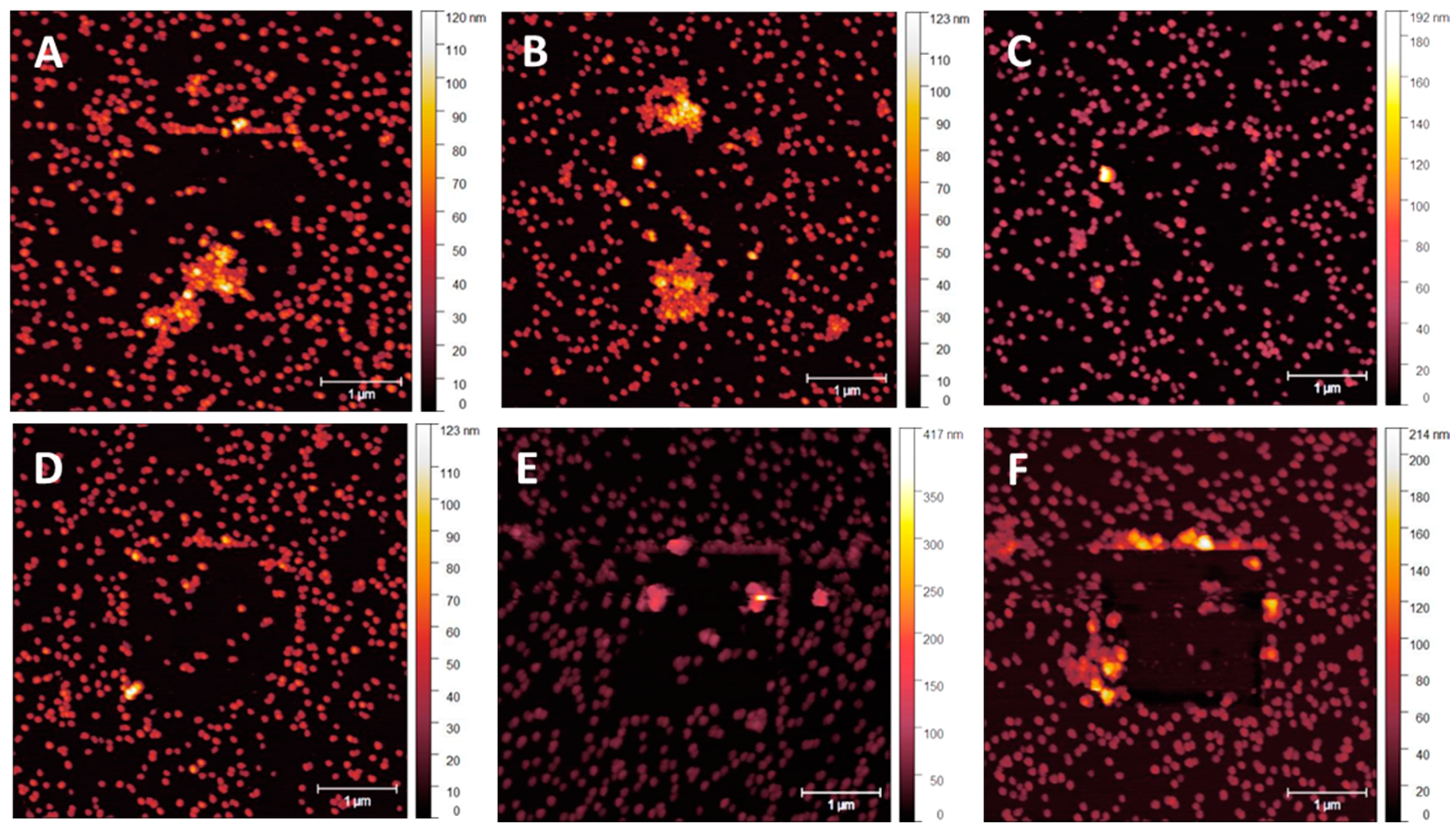 Nanomaterials 14 01475 g009 Nanomaterials 14 01475 g009