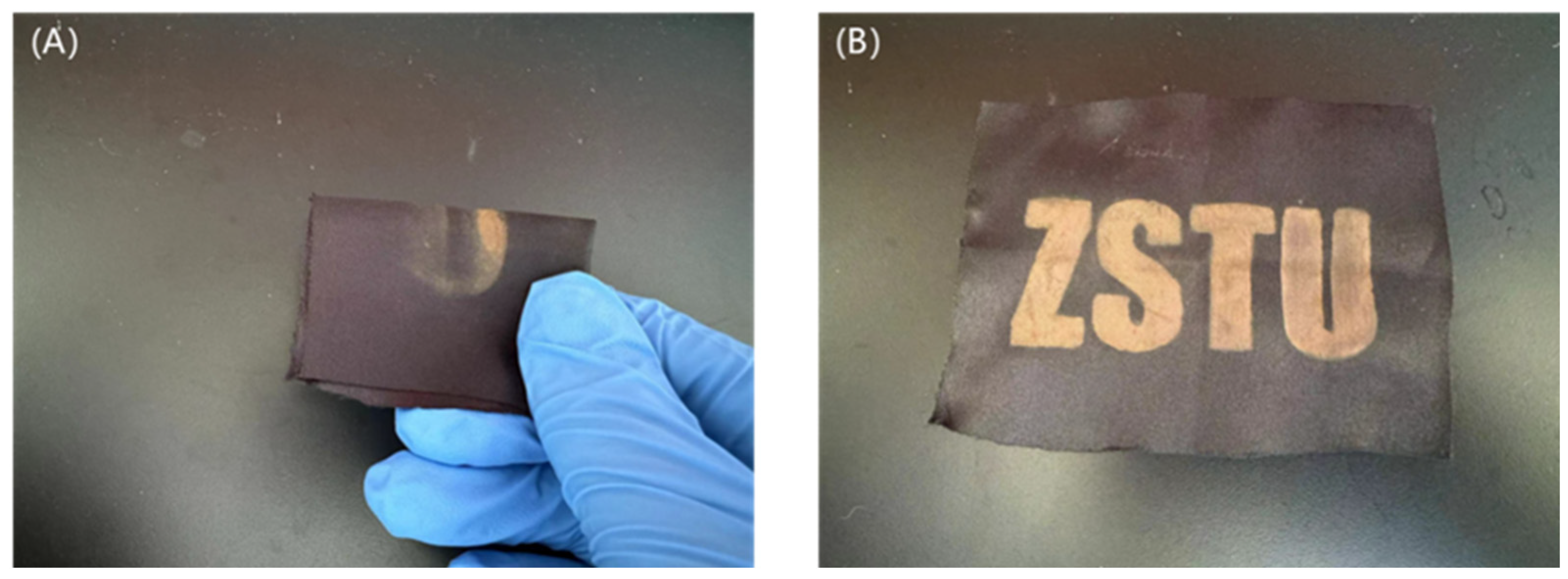 Nanomaterials 14 01478 g011