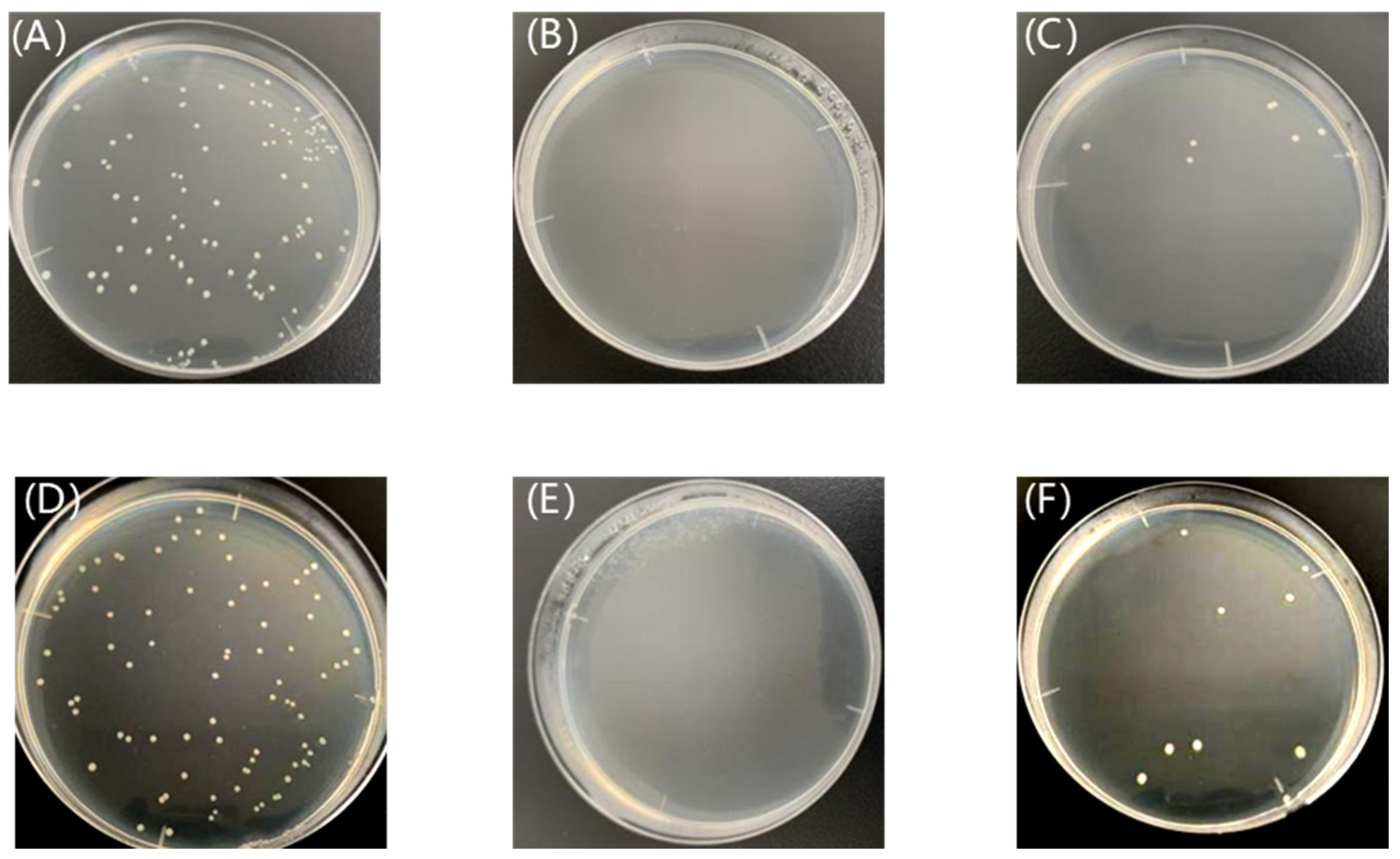 Nanomaterials 14 01478 g012