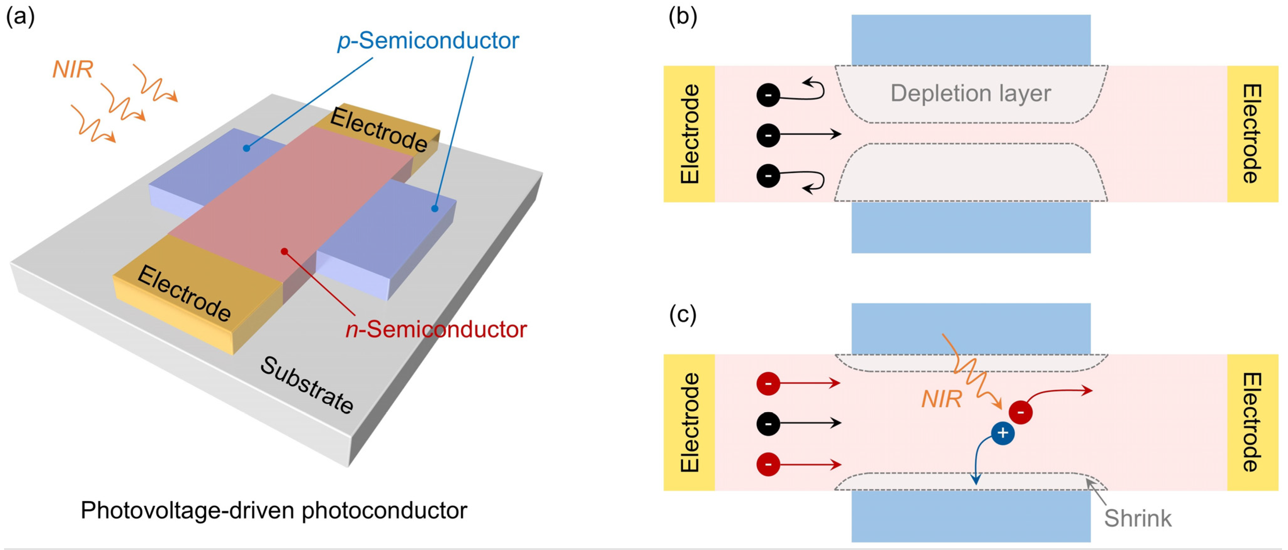 Nanomaterials 14 01483 g001