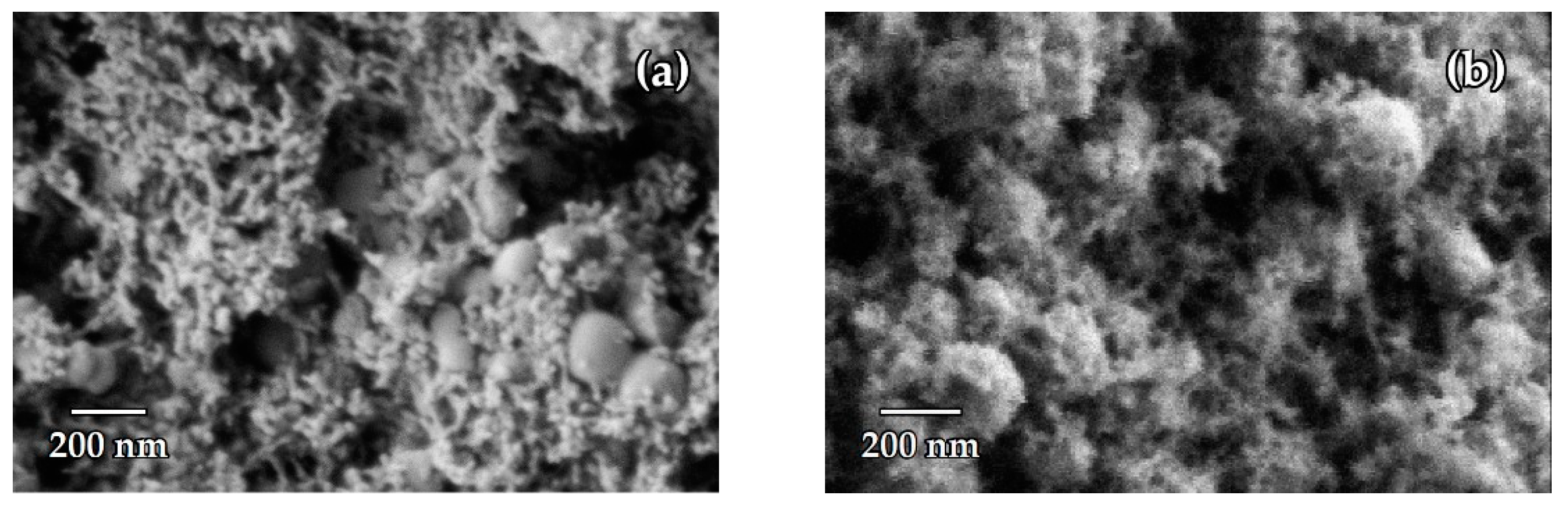 Nanomaterials 14 01511 g004 Nanomaterials 14 01511 g004