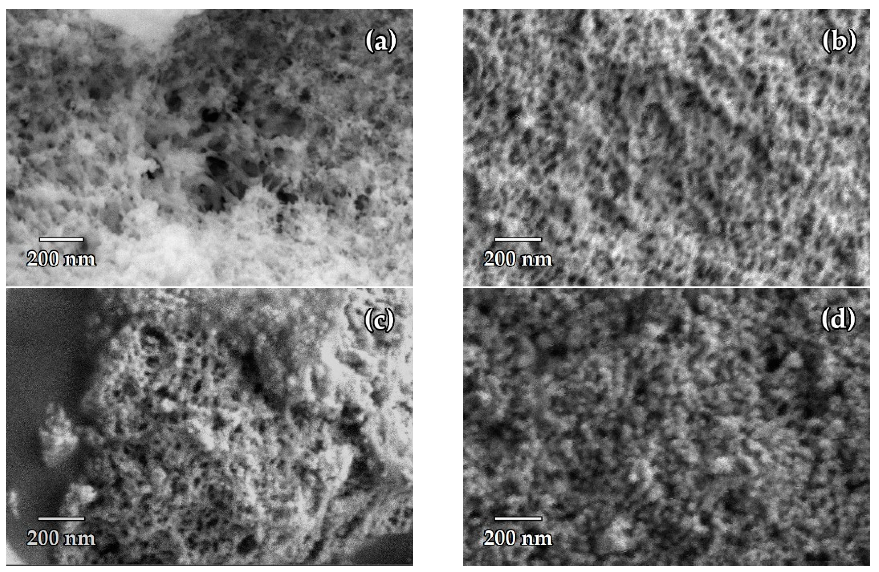 Nanomaterials 14 01511 g008 Nanomaterials 14 01511 g008