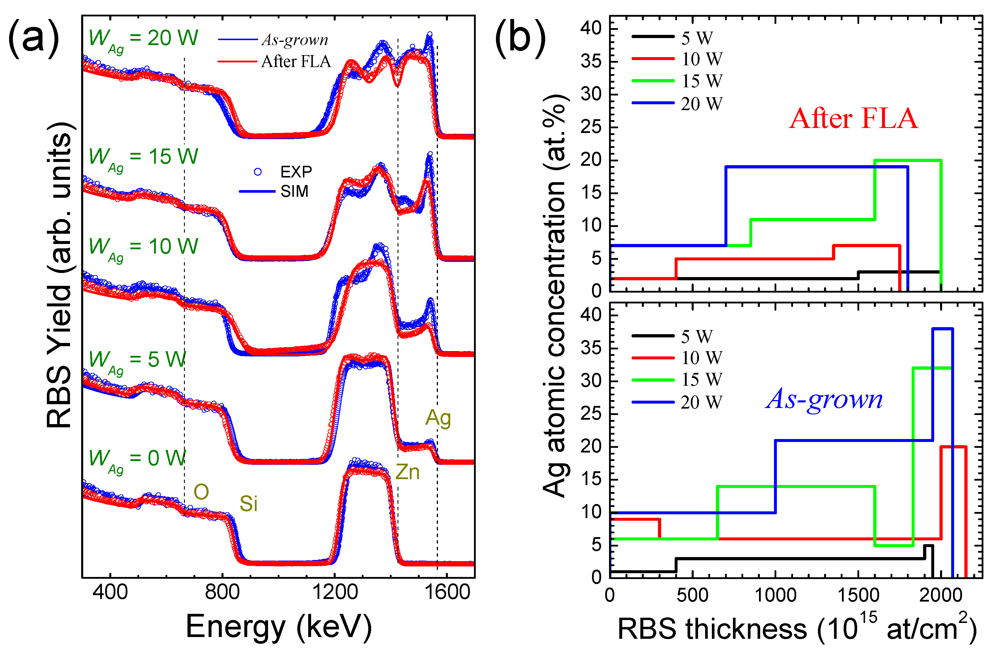 Nanomaterials 14 01519 g001