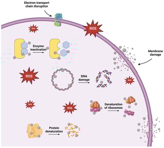 Nanomaterials 14 01527 g004