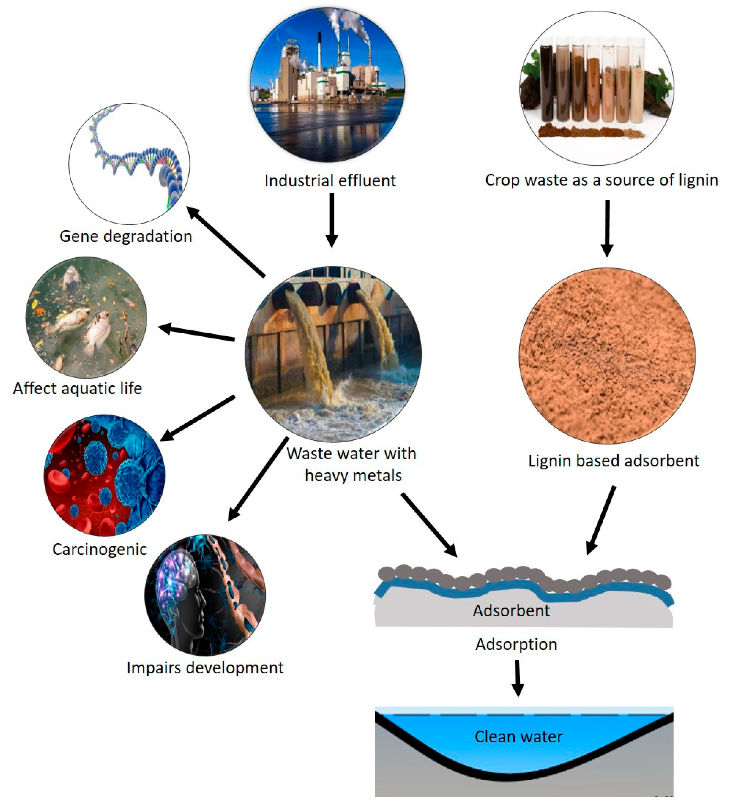 Nanomaterials 14 01541 g002