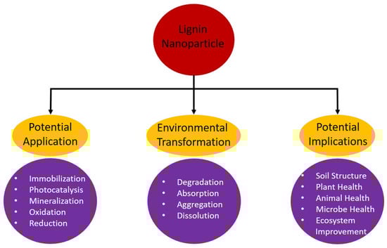 Nanomaterials 14 01541 g003