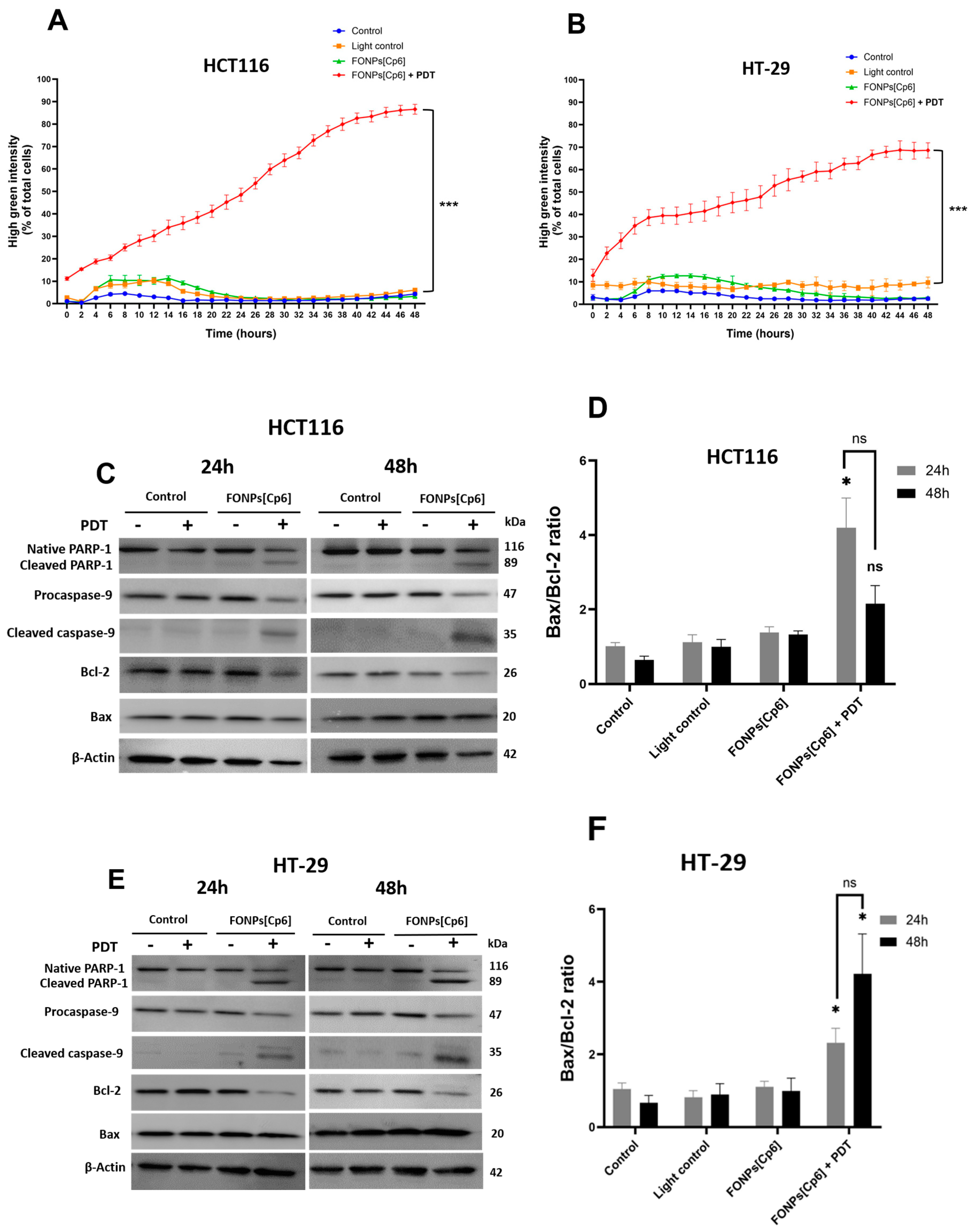 Nanomaterials 14 01557 g006 Nanomaterials 14 01557 g006