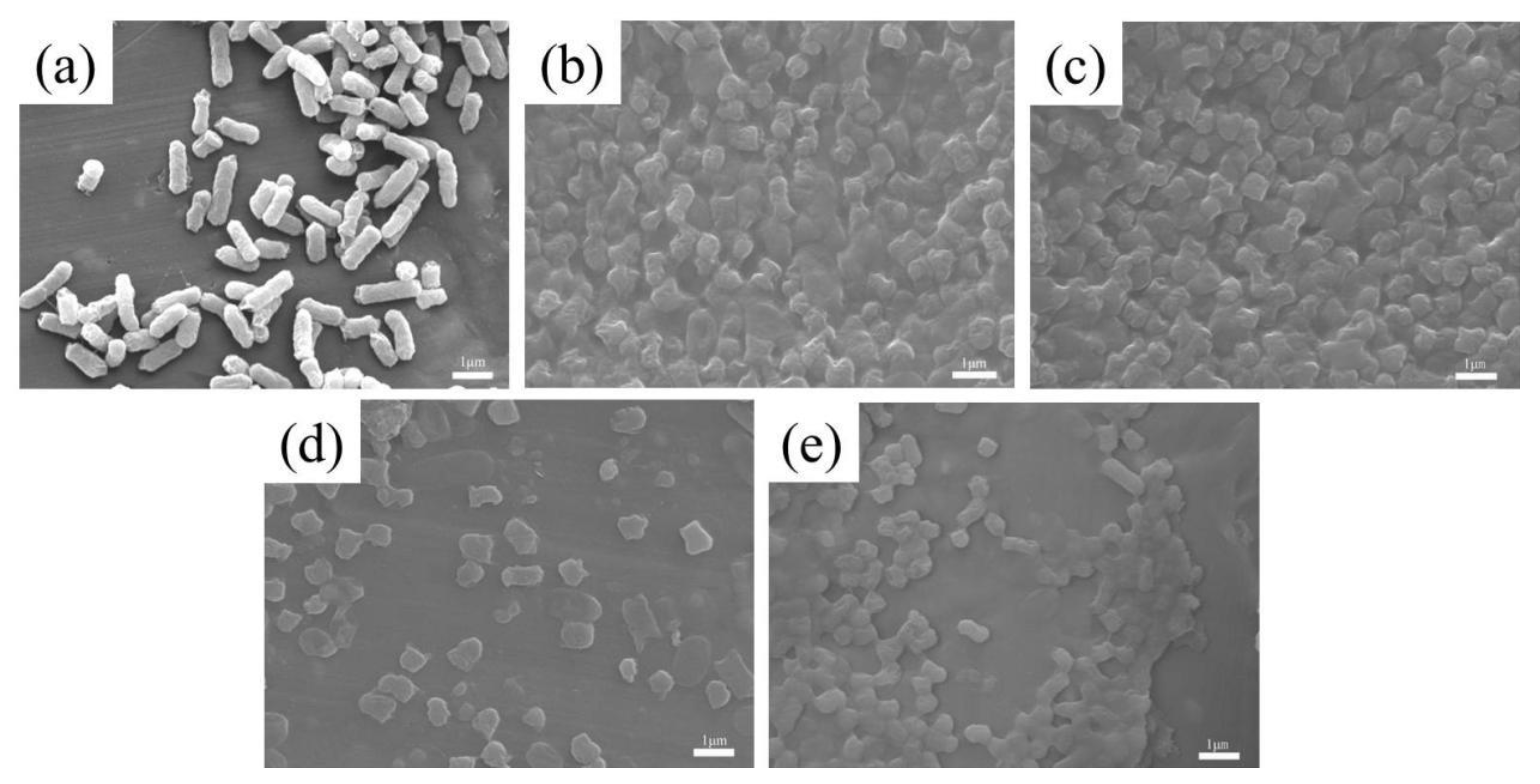 Nanomaterials 14 01565 g009
