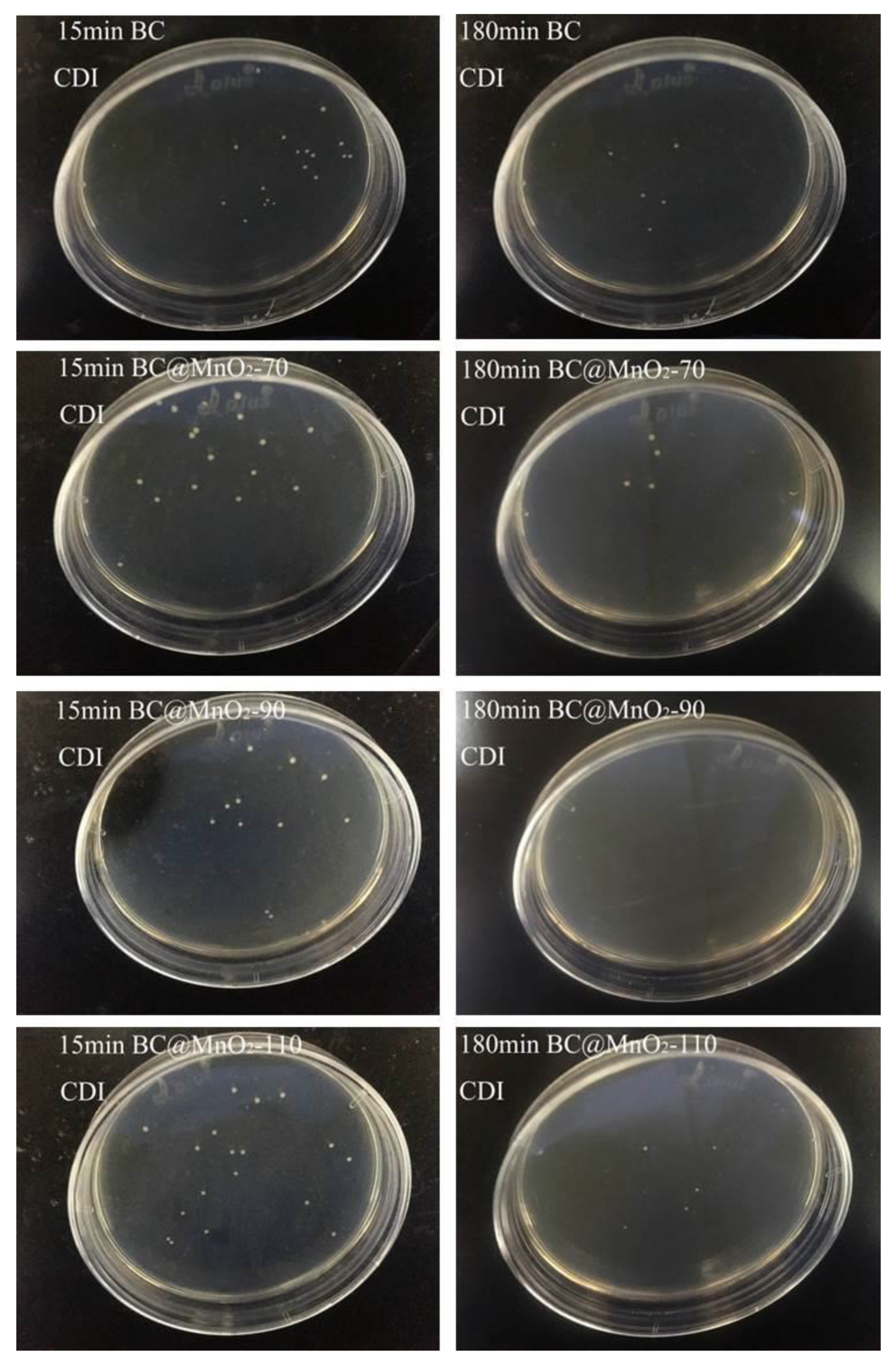 Nanomaterials 14 01565 g010