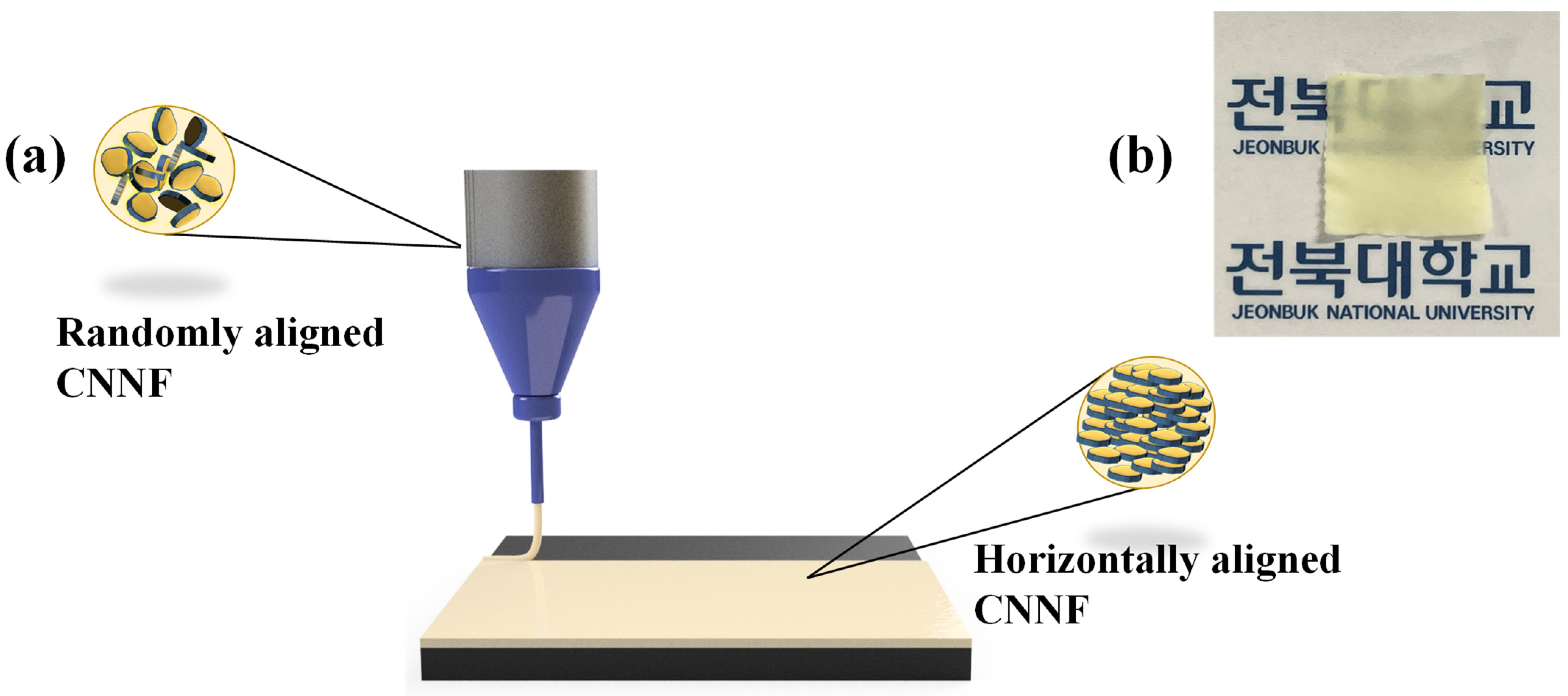Nanomaterials 14 01578 g001