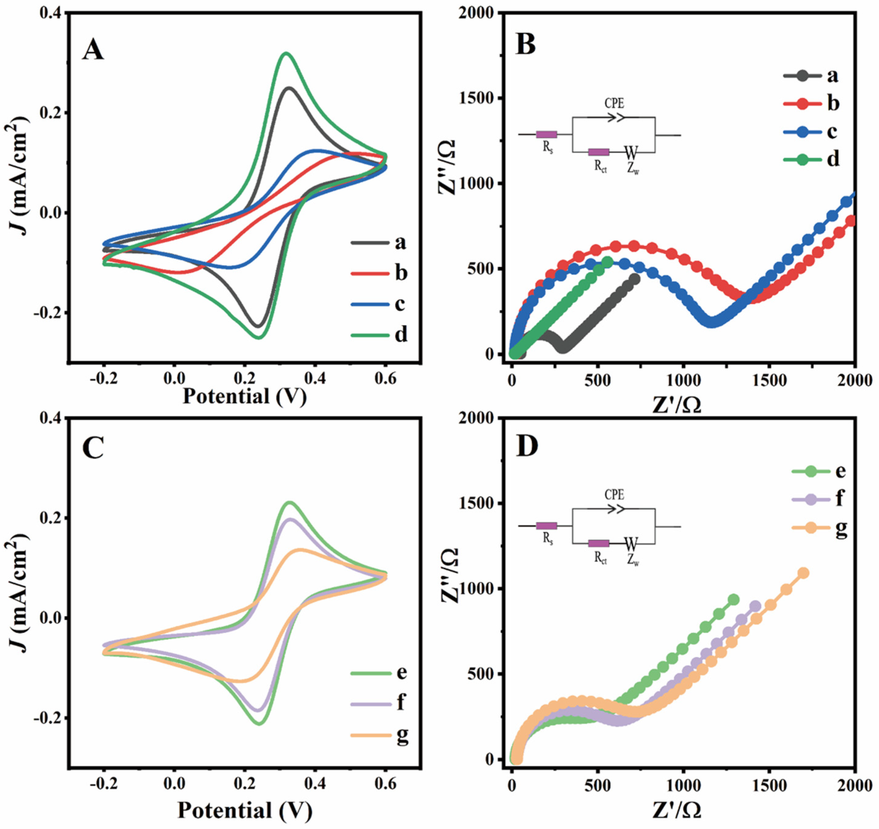 Nanomaterials 14 01579 g003