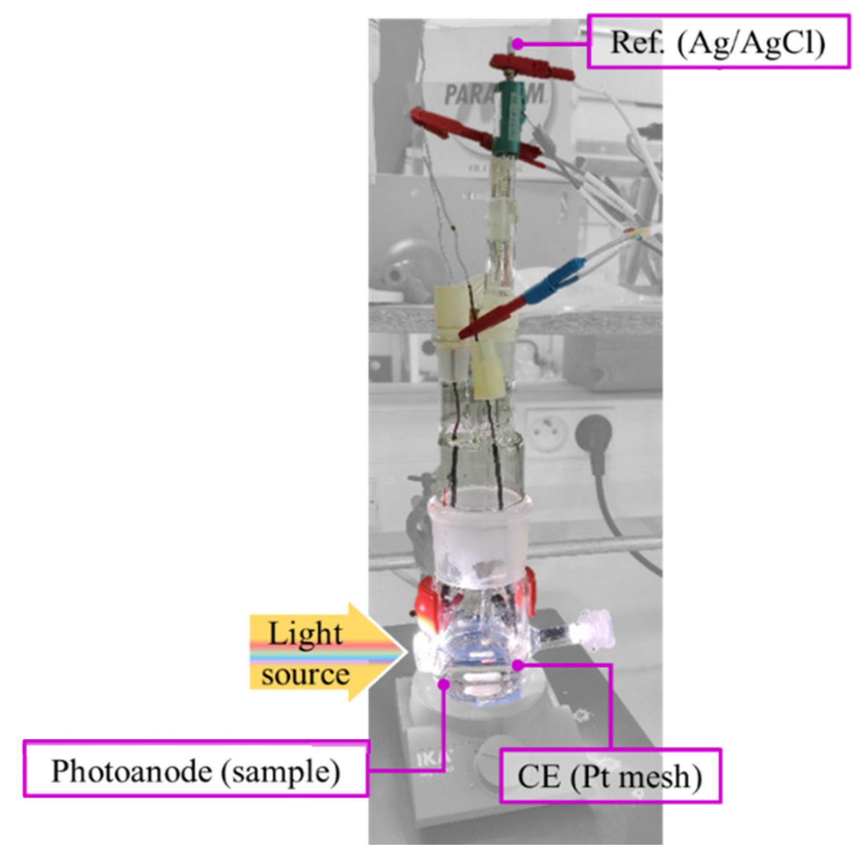 Nanomaterials 14 01581 g001