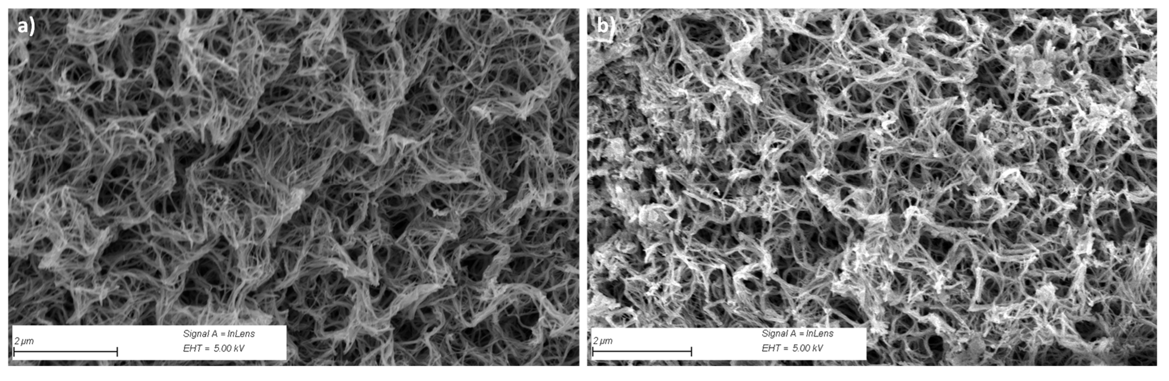 Nanomaterials 14 01581 g003