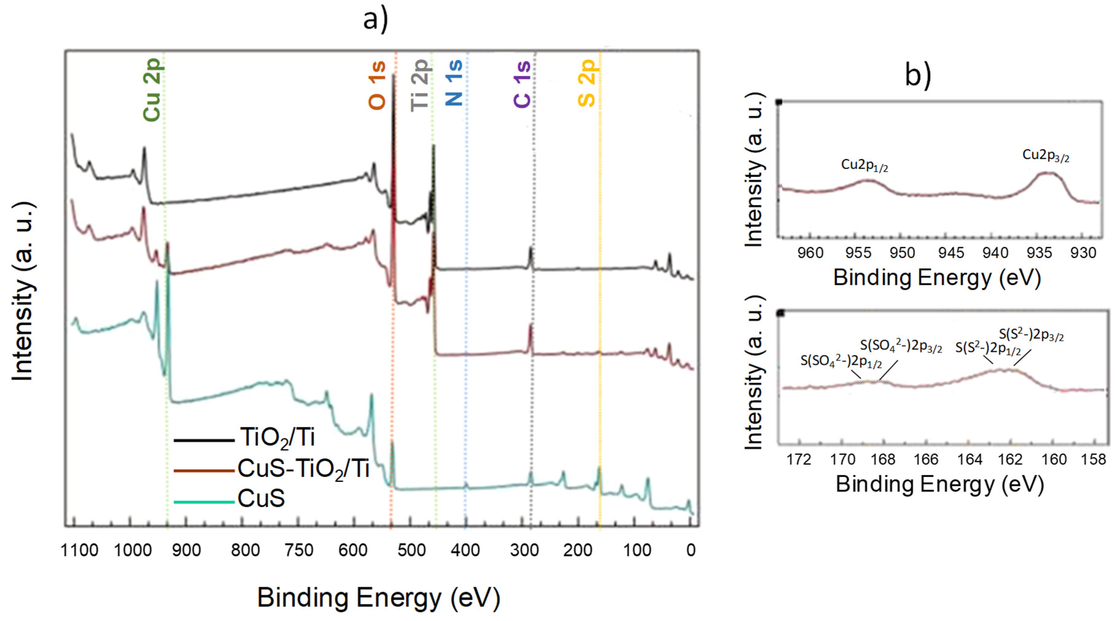 Nanomaterials 14 01581 g005