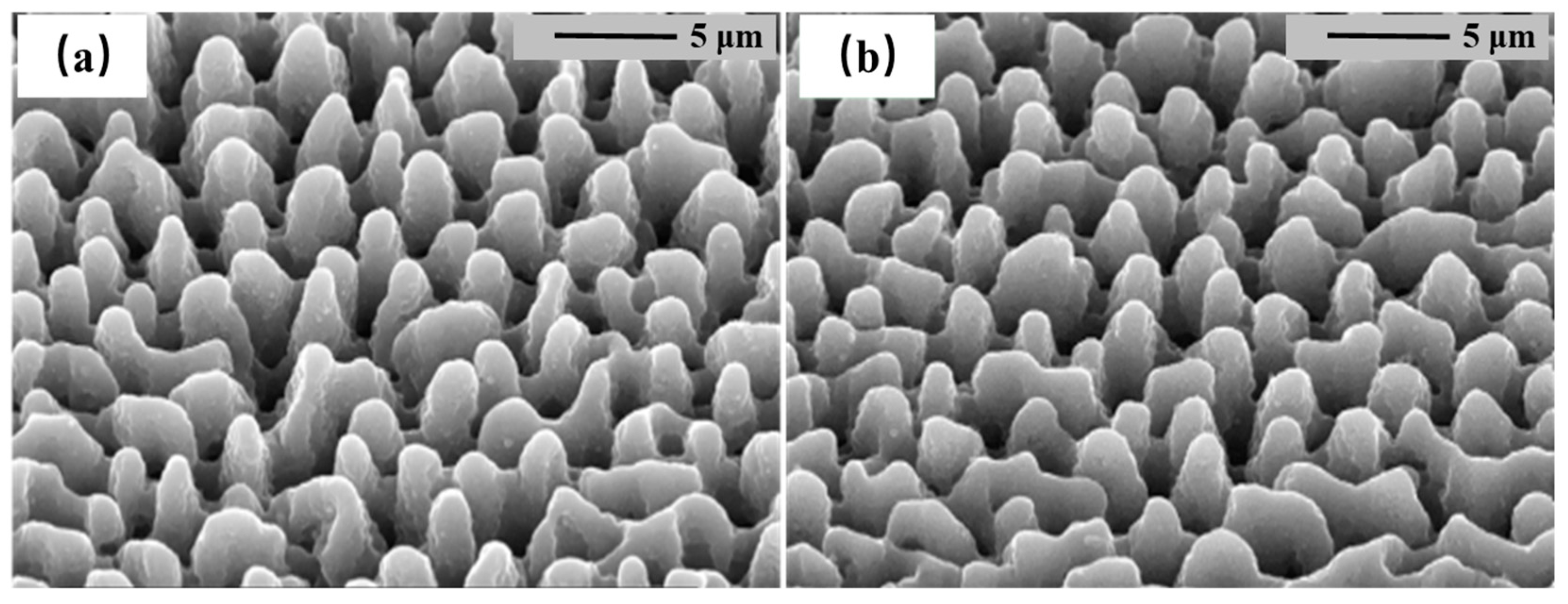 Nanomaterials 14 01591 g001